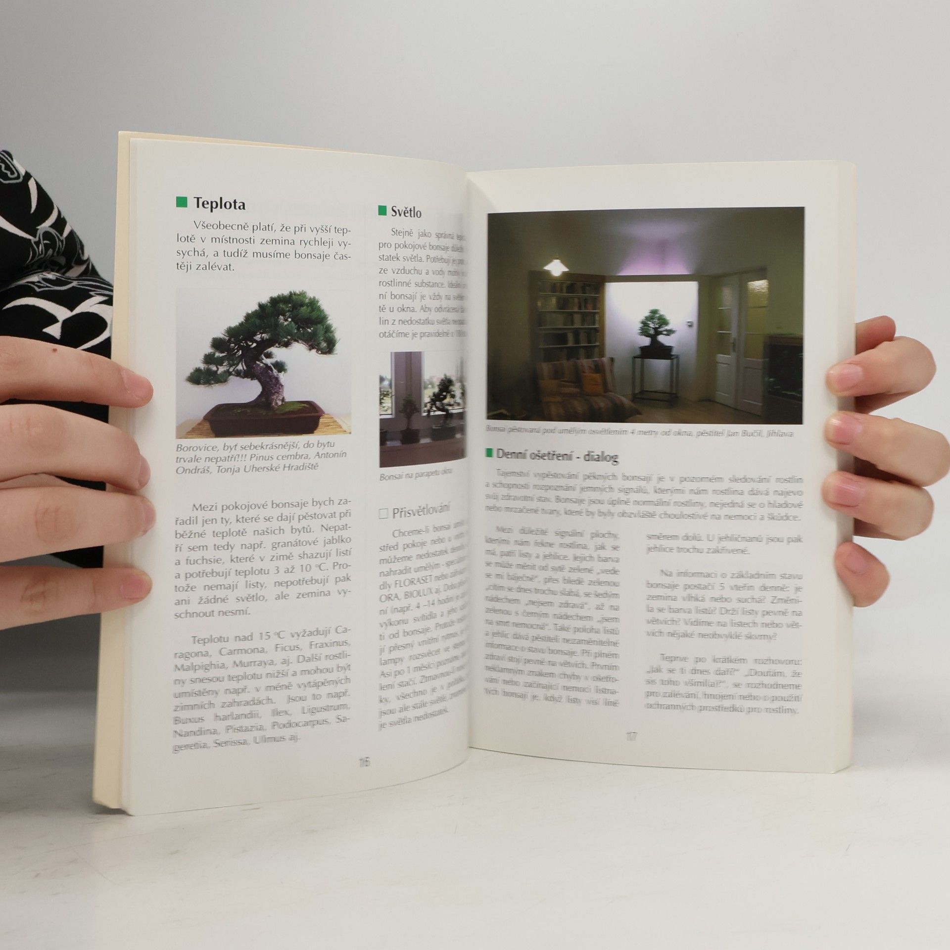Jaroslav Pišl Bonsai nejen v paneláku