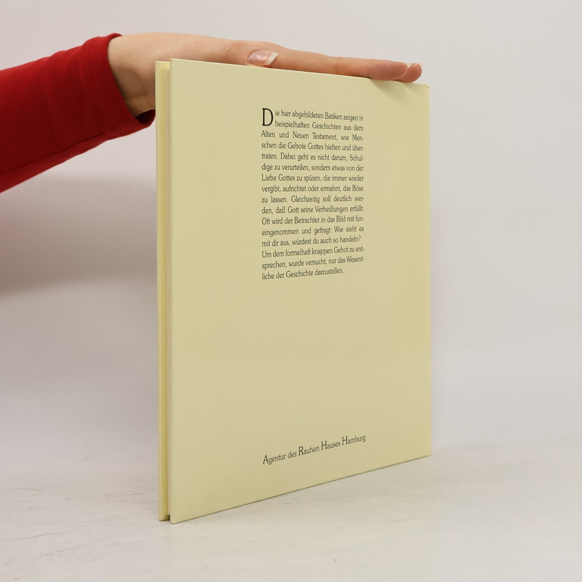 Rosemarie Müller Ich aber sage euch. Biblische Geschichten mit Batiken zu den 10 Geboten