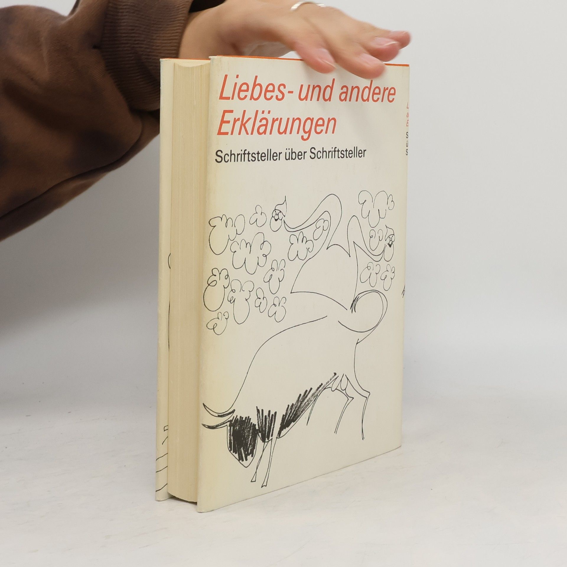Kolektiv autorů Liebes- und andere Erklärungen