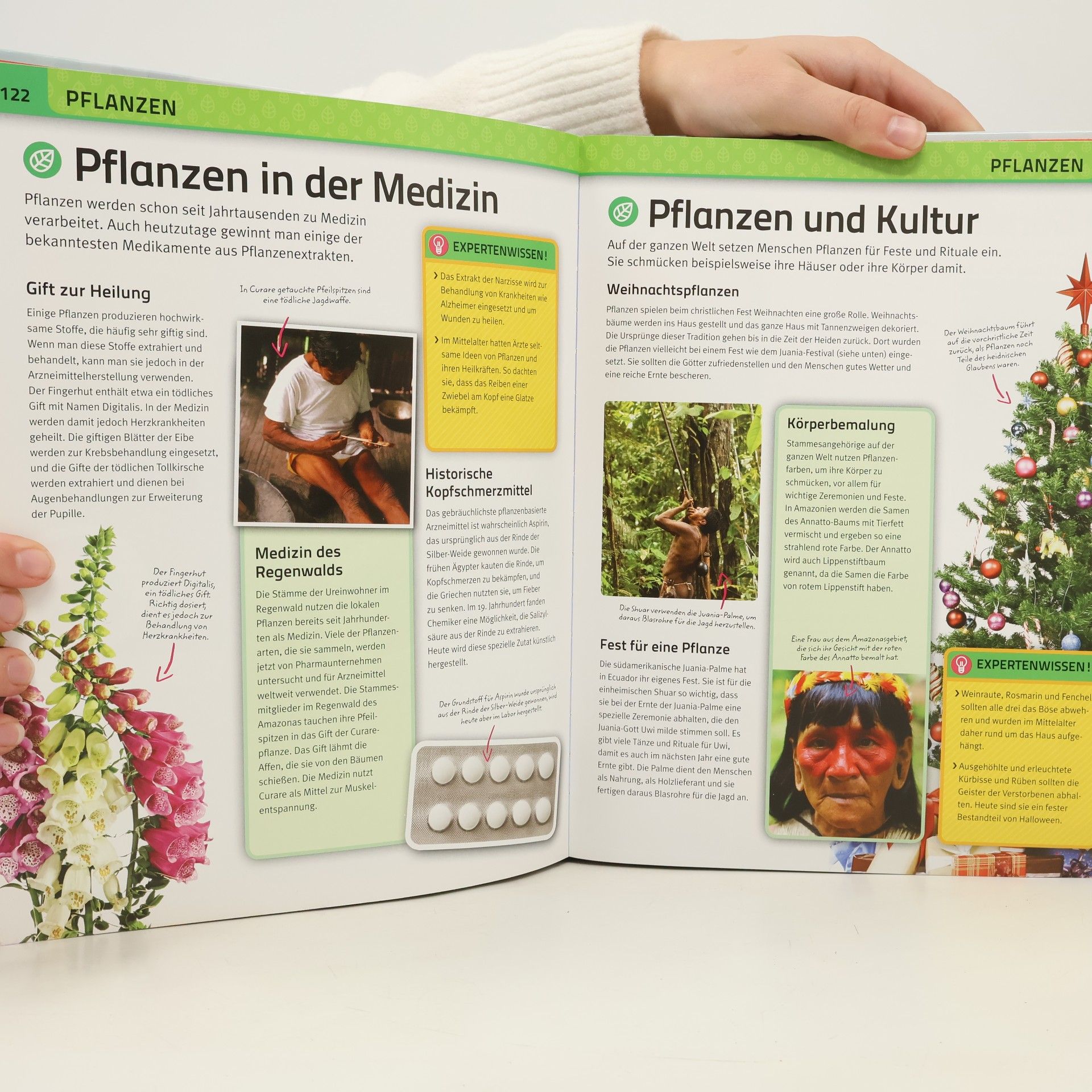 Moira Butterfield Alles was ich wissen will und noch viel mehr!