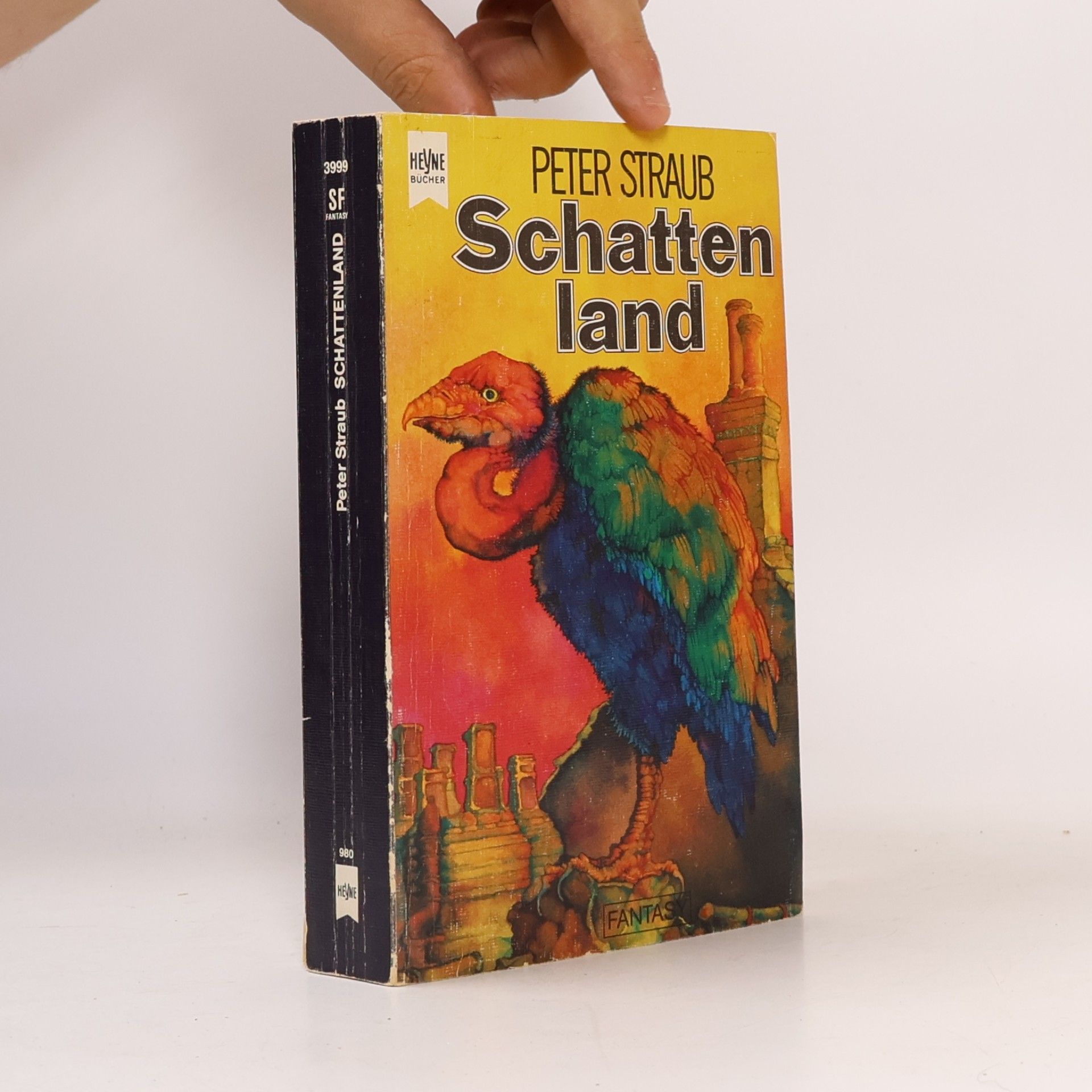 Peter Straub Schattenland