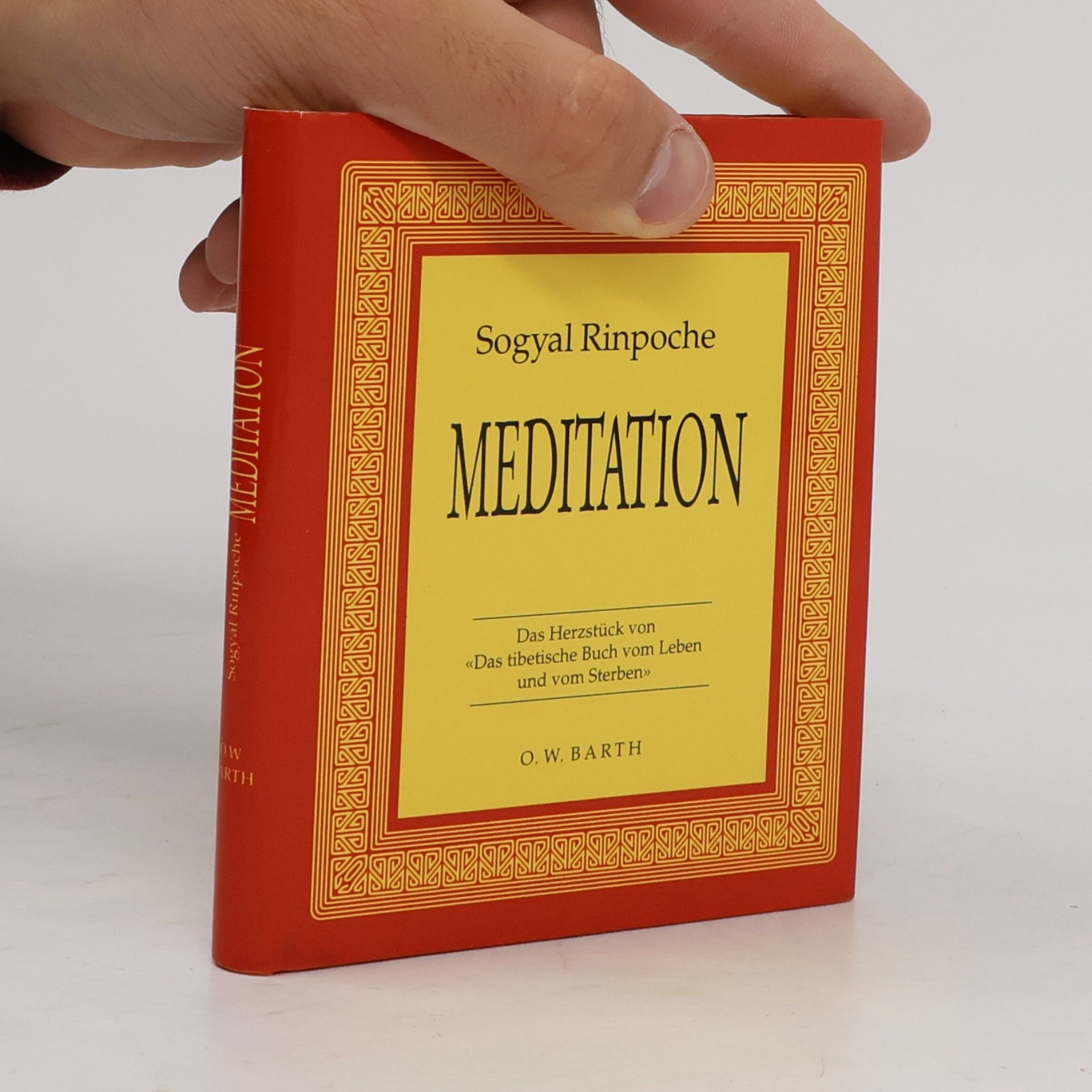 Sogyal Rinpoche Meditation