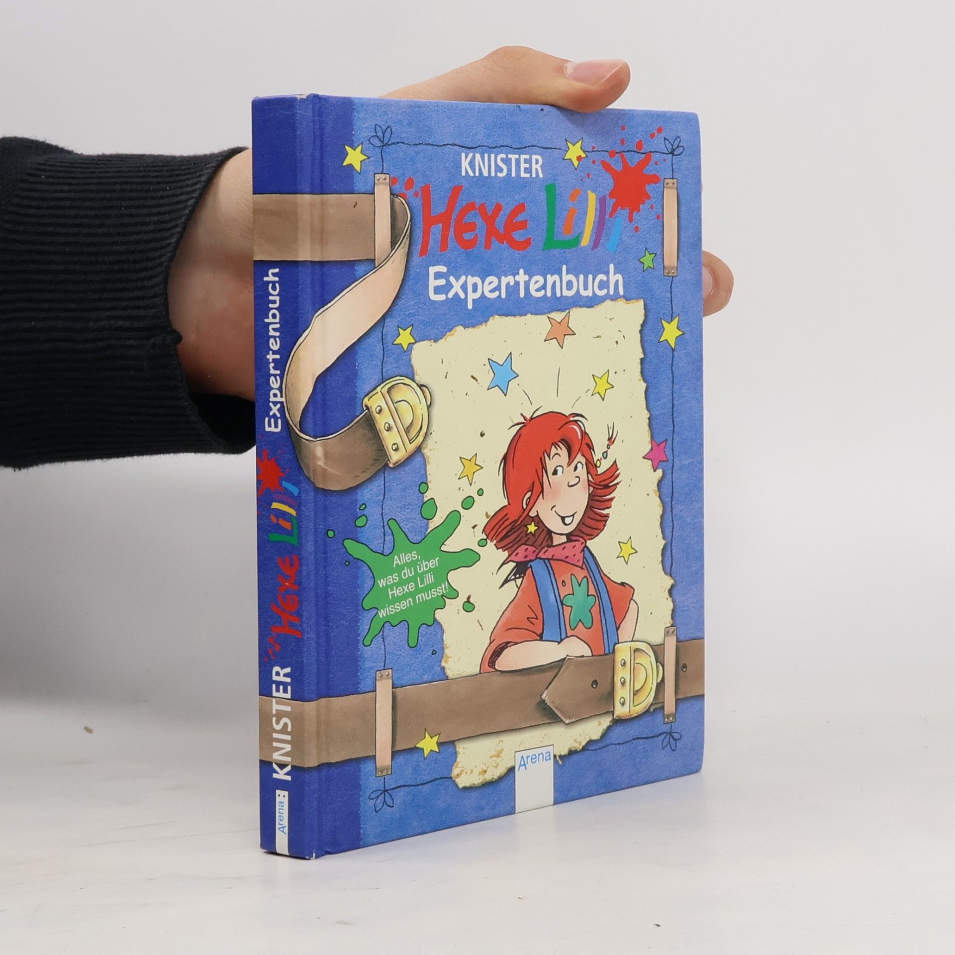 Brigit Rieger Das Hexe-Lilli-Expertenbuch. Alles, was du über Hexe Lilli wissen musst