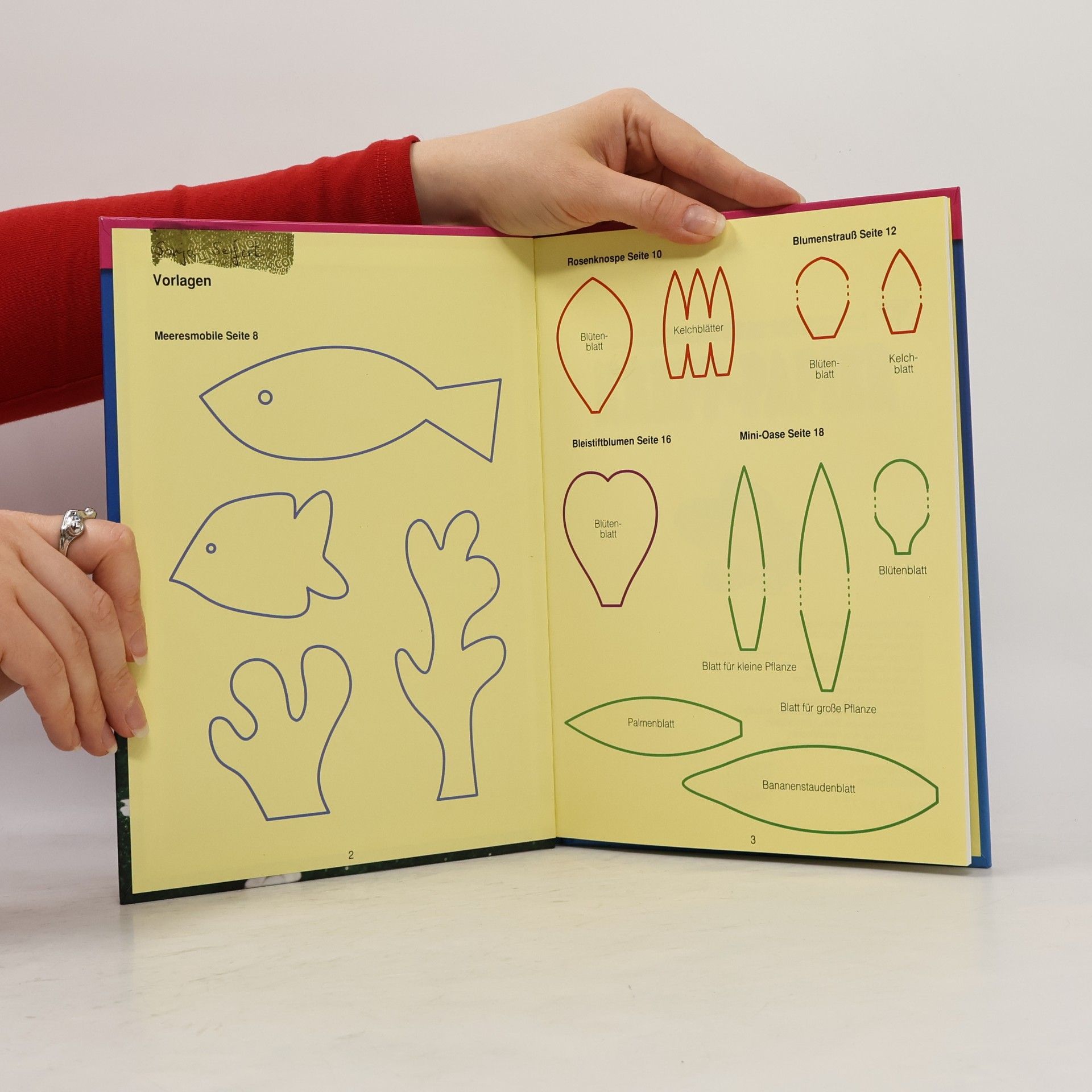 Jean-Marie Chevalier Fleurus Kreativ: Basteln mit Krepp-Papier