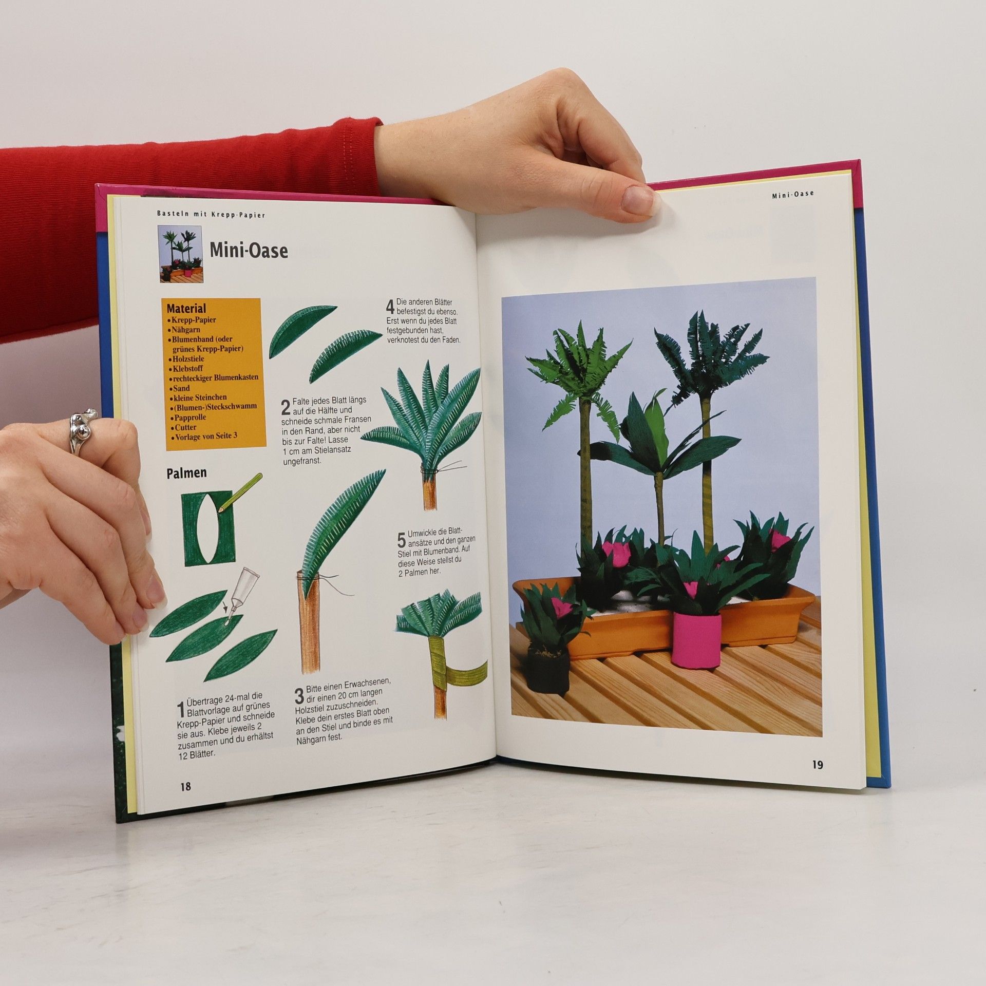 Jean-Marie Chevalier Fleurus Kreativ: Basteln mit Krepp-Papier