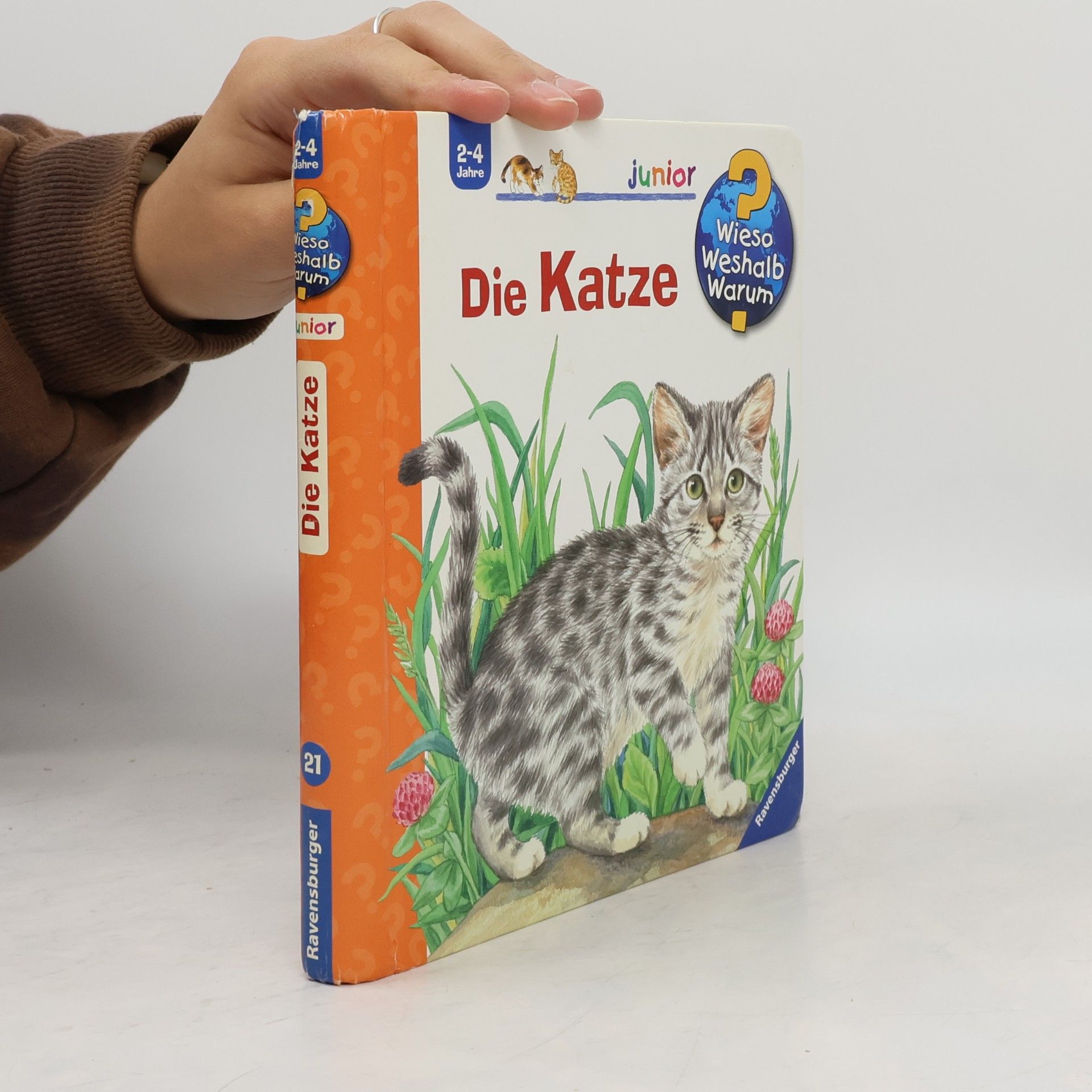 Ursula Weller Die Katze