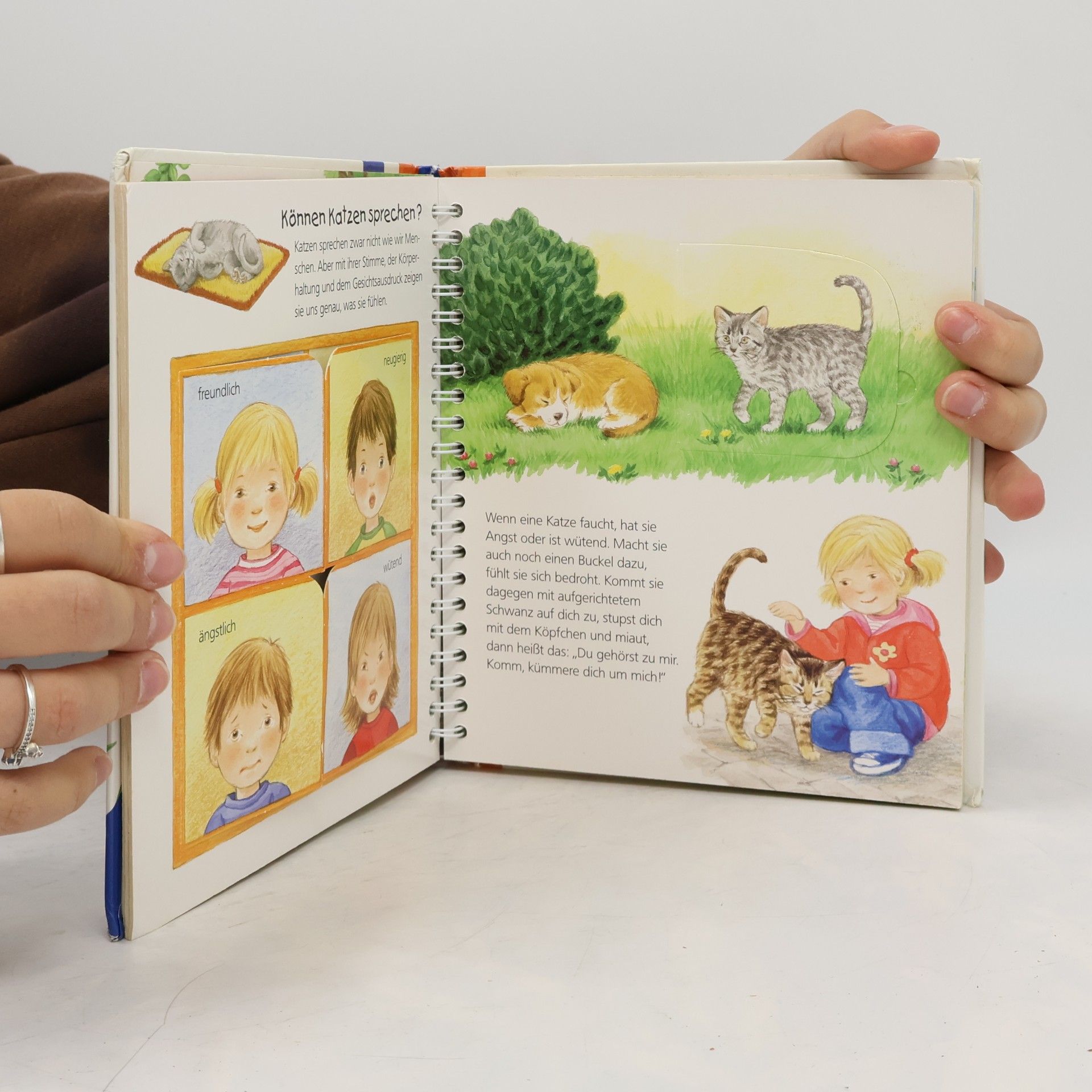 Ursula Weller Die Katze