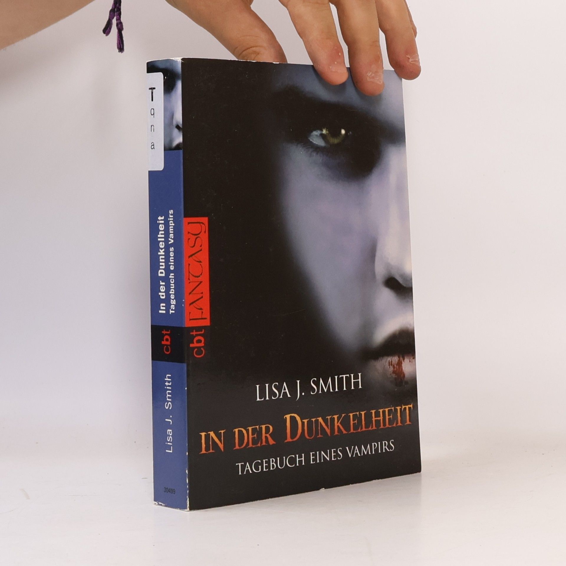 L. J. Smithová  In der Dunkelheit