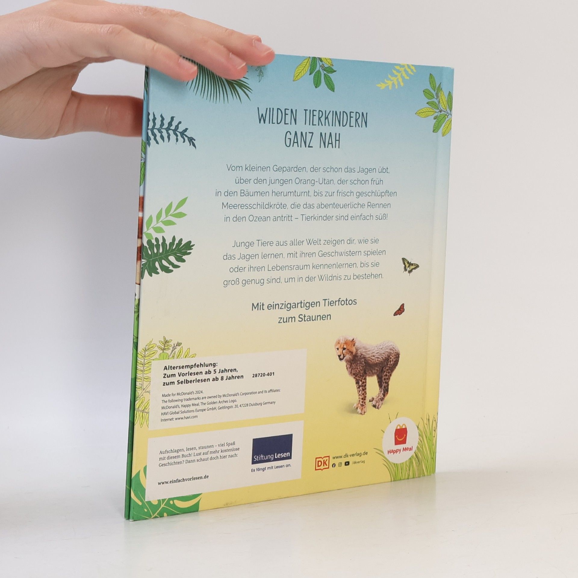 Autorenkollektiv Tierkinde der Wildnis