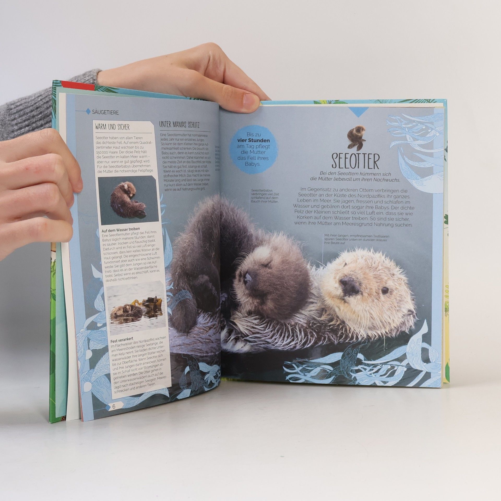 Autorenkollektiv Tierkinde der Wildnis