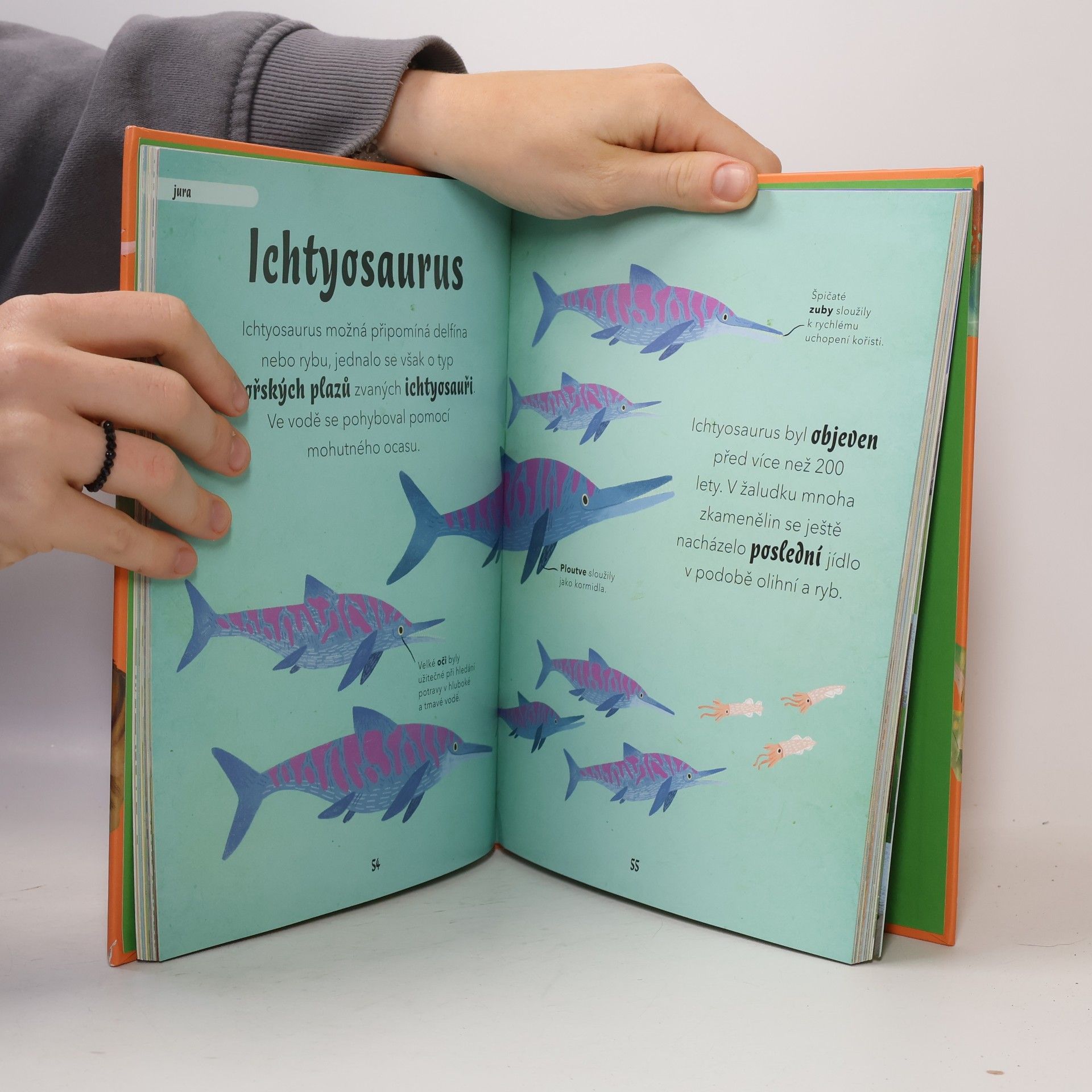 Petr Kotouš Usínáme s dinosaury a dalšími prehistorickými tvory