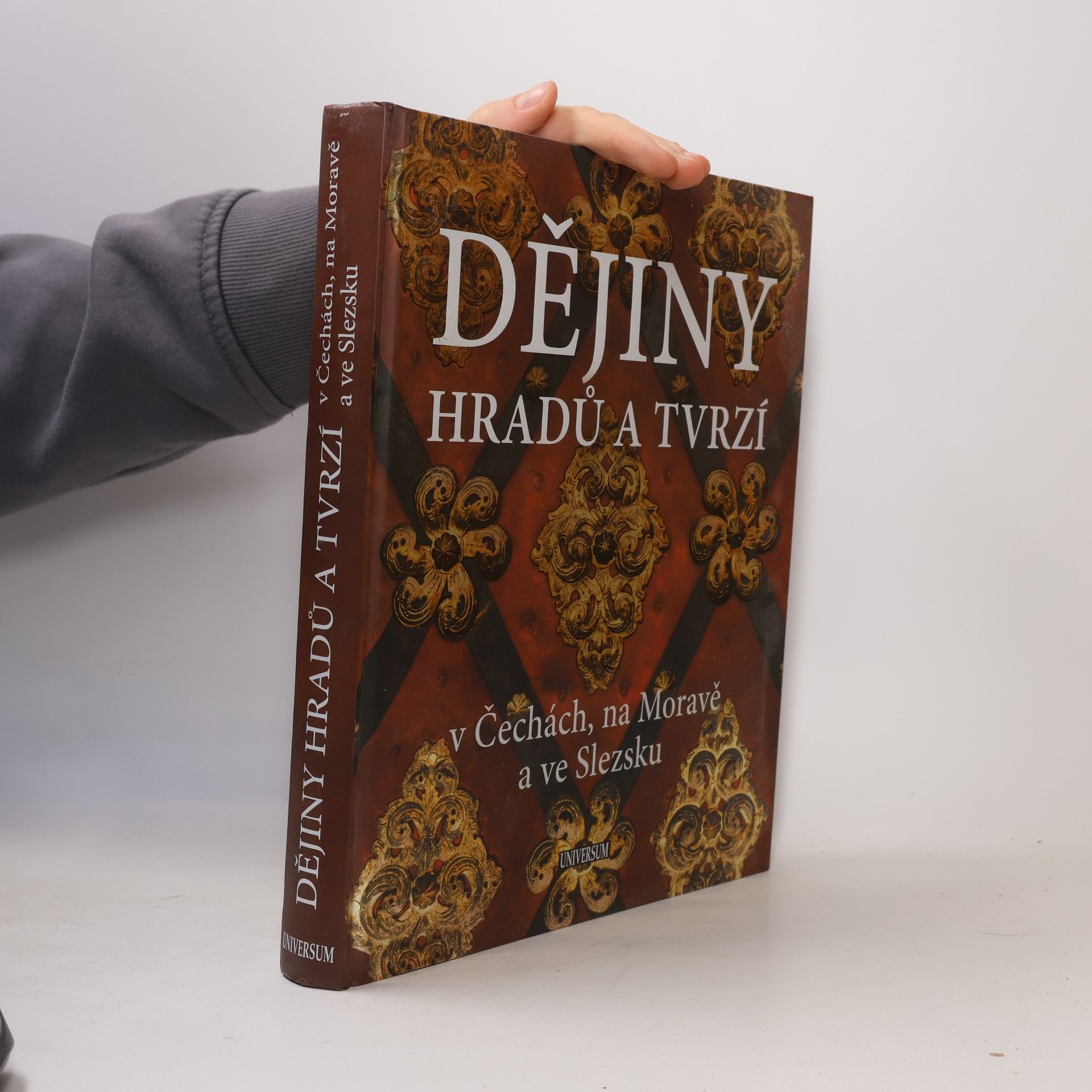 Peter David Dějiny hradů a tvrzí v Čechách, na Moravě a ve Slezsku