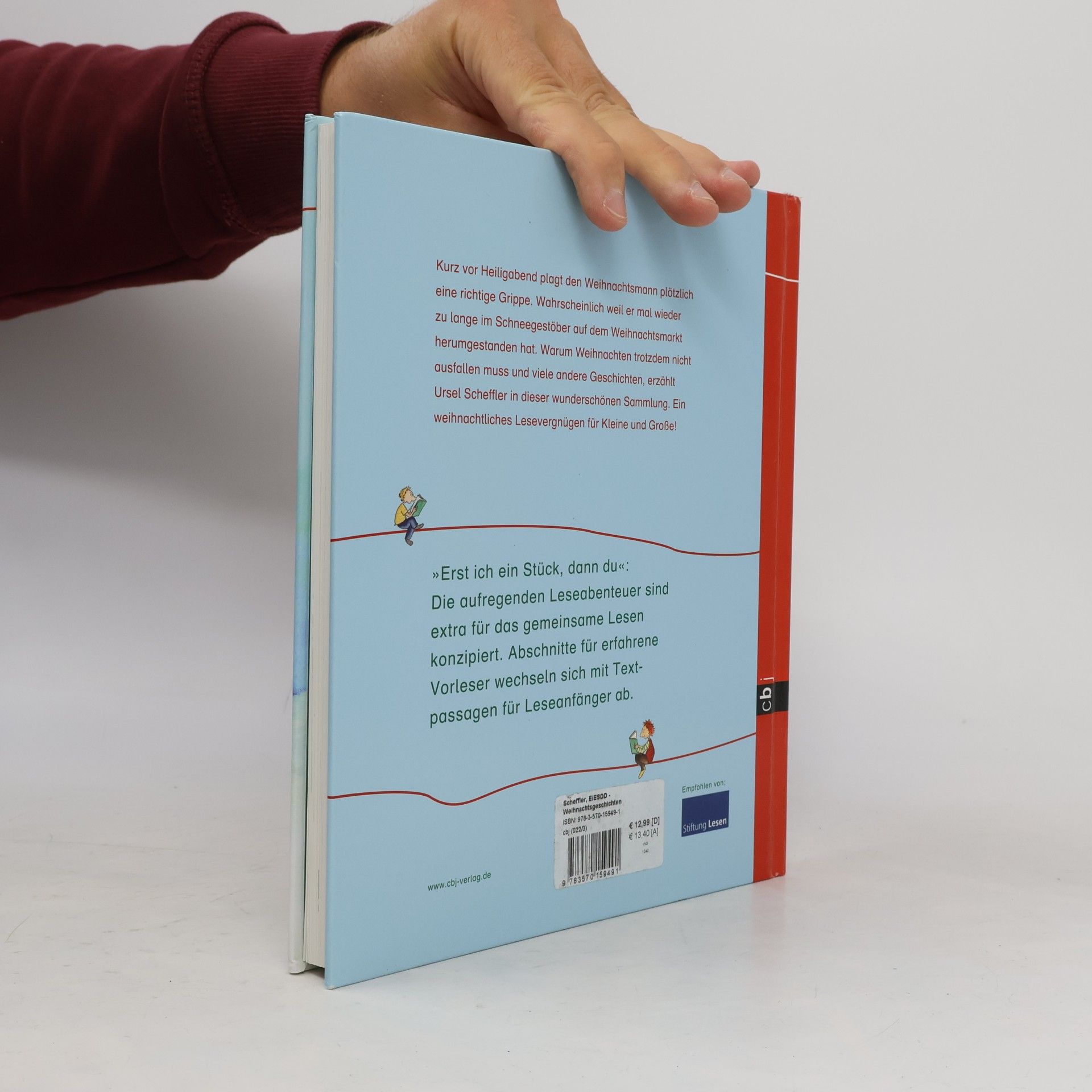Ursel Scheffler Das große Buch der Weihnachtsgeschichten