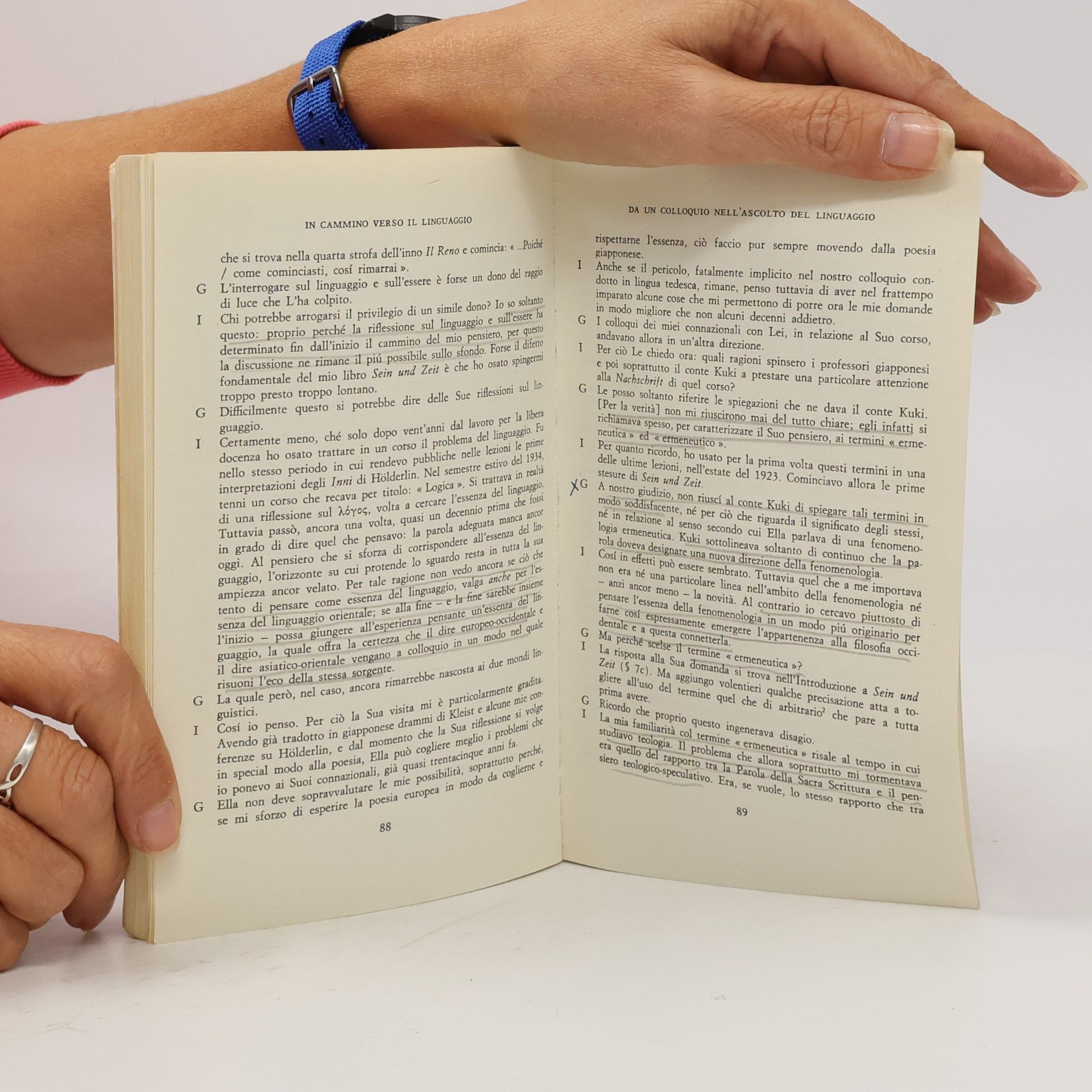 Martin Heidegger In cammino verso il linguaggio