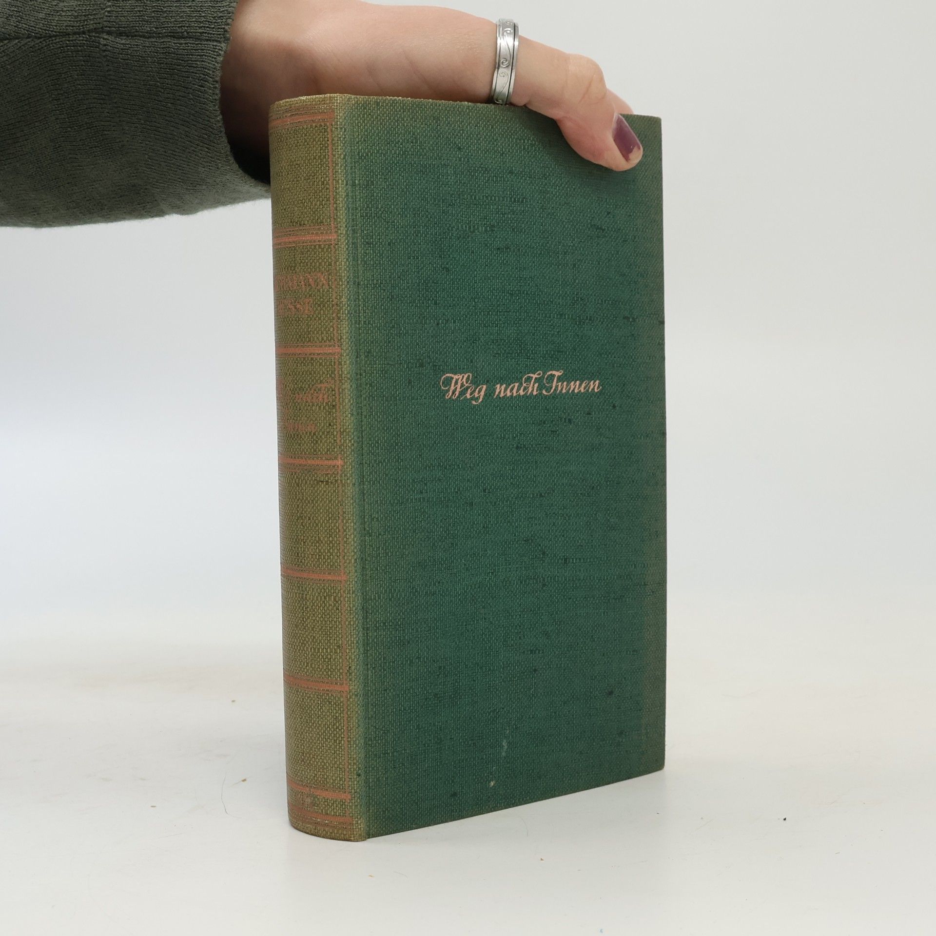 Hermann Hesse Weg nach Innen
