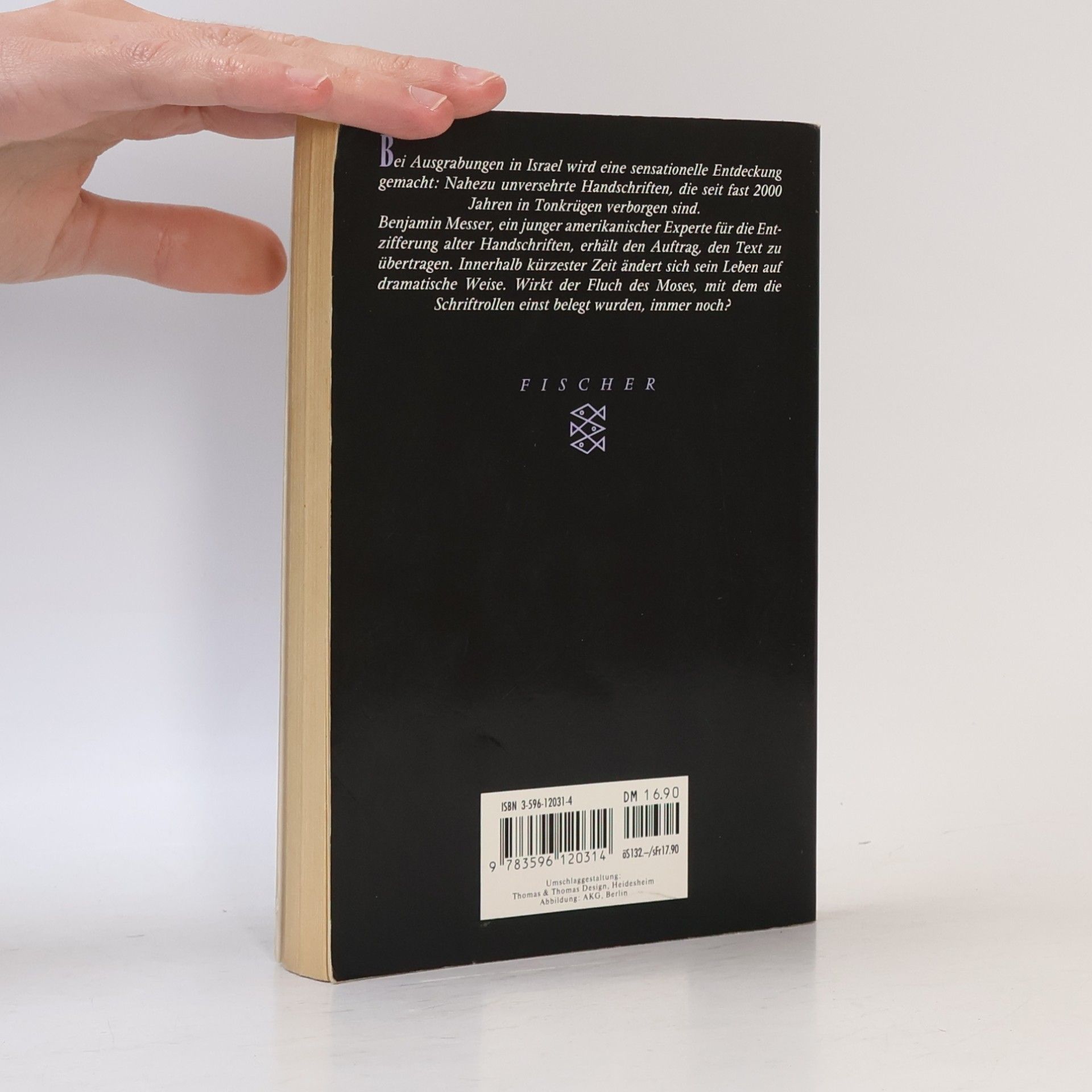 Barbara Wood Der Fluch der Schriftrollen