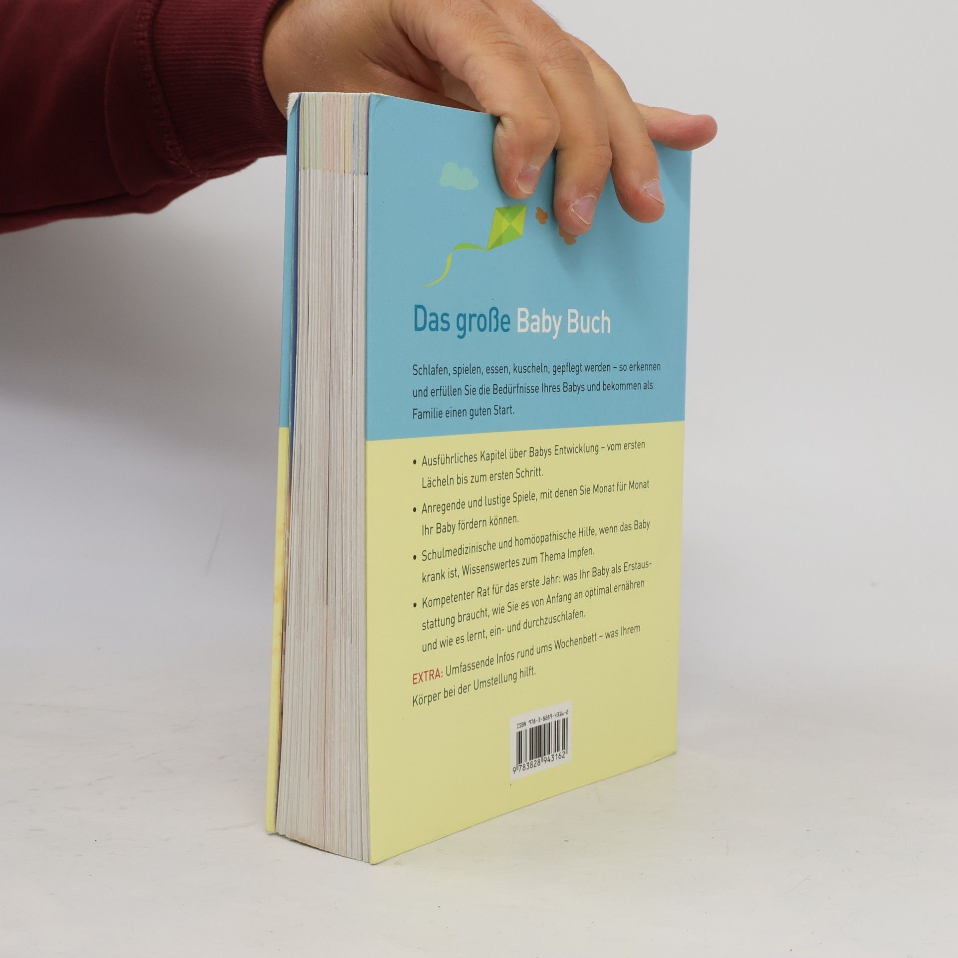 Birgit Sesterhenn Das große Baby-Buch