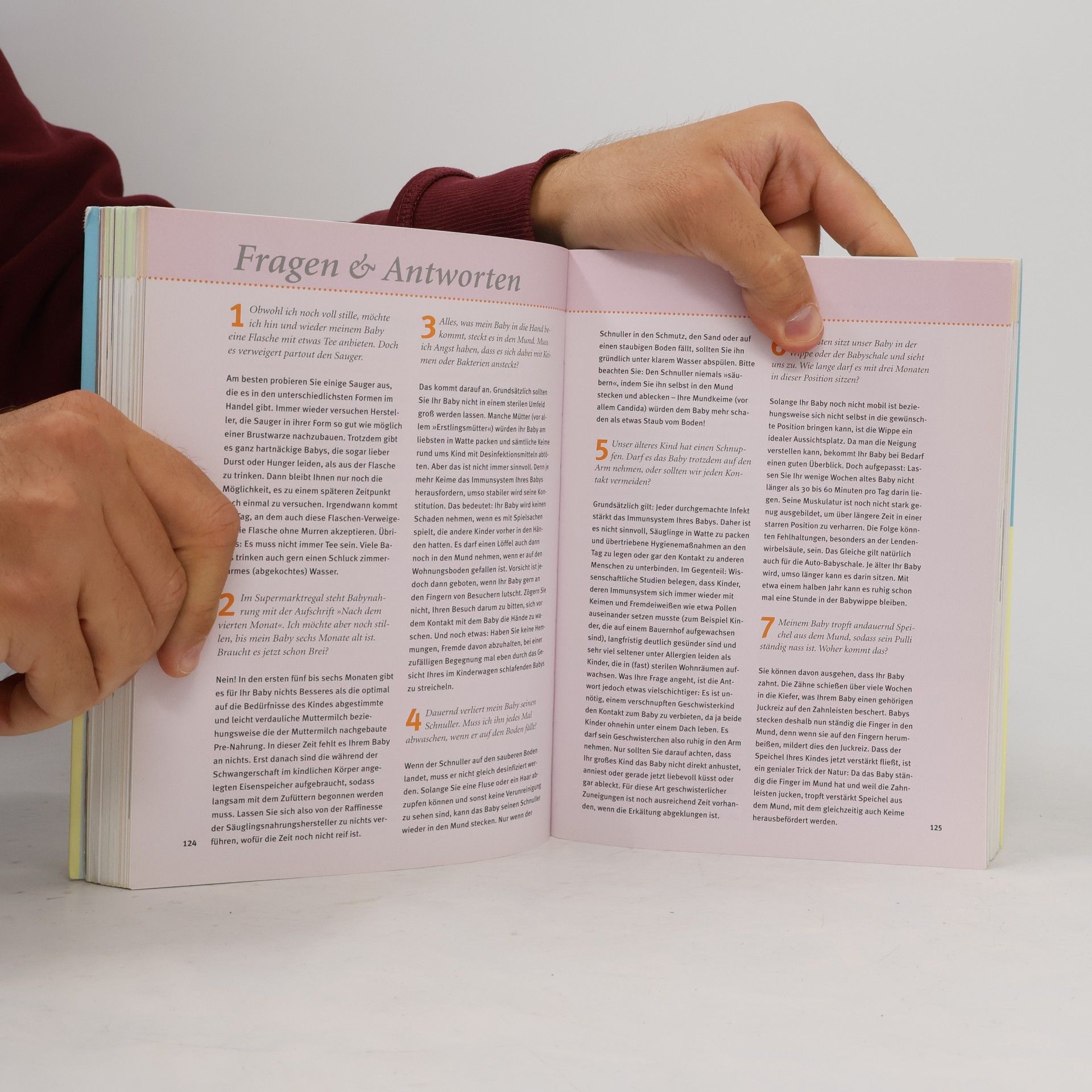 Birgit Sesterhenn Das große Baby-Buch