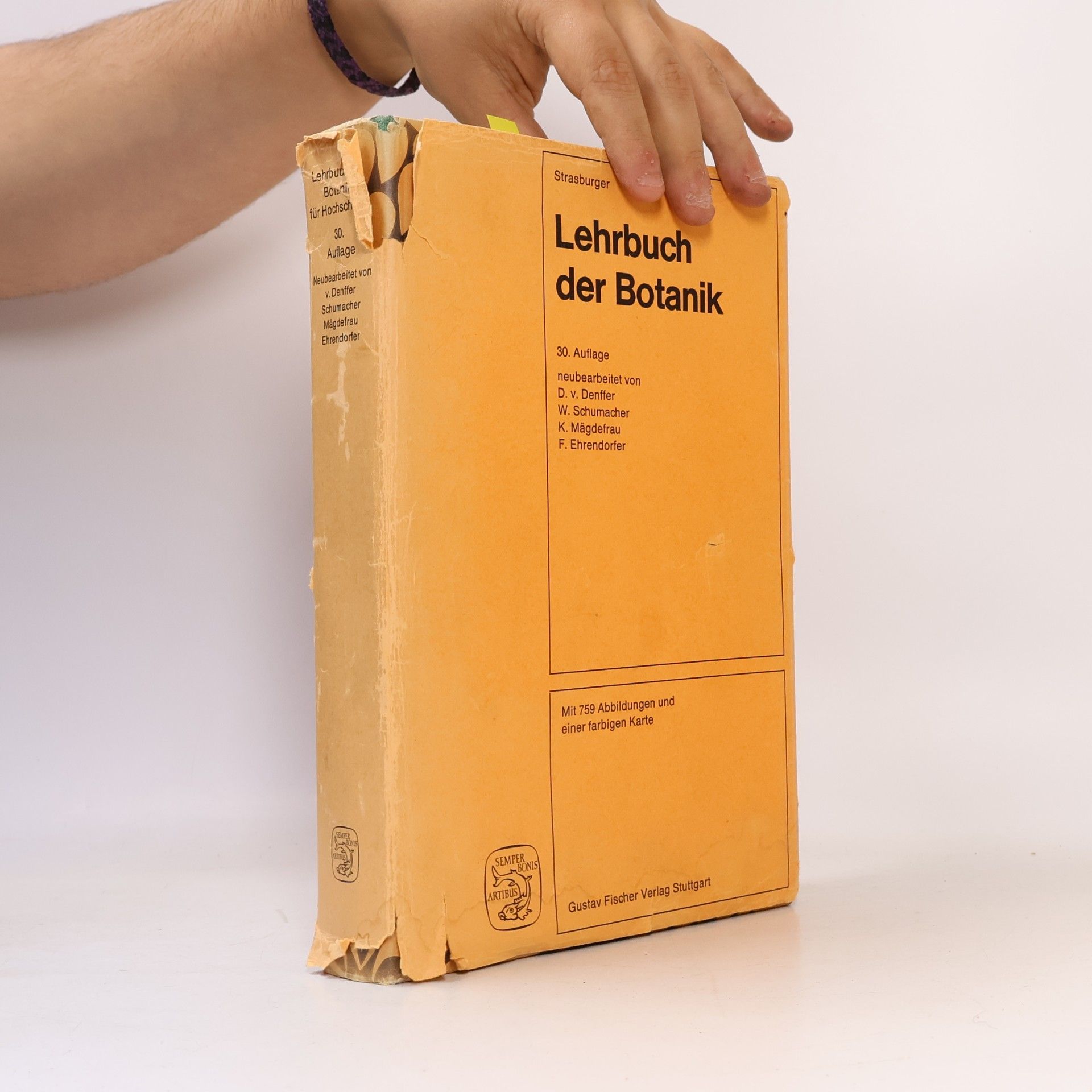 Lehrbuch der Botanik für Hochschulen