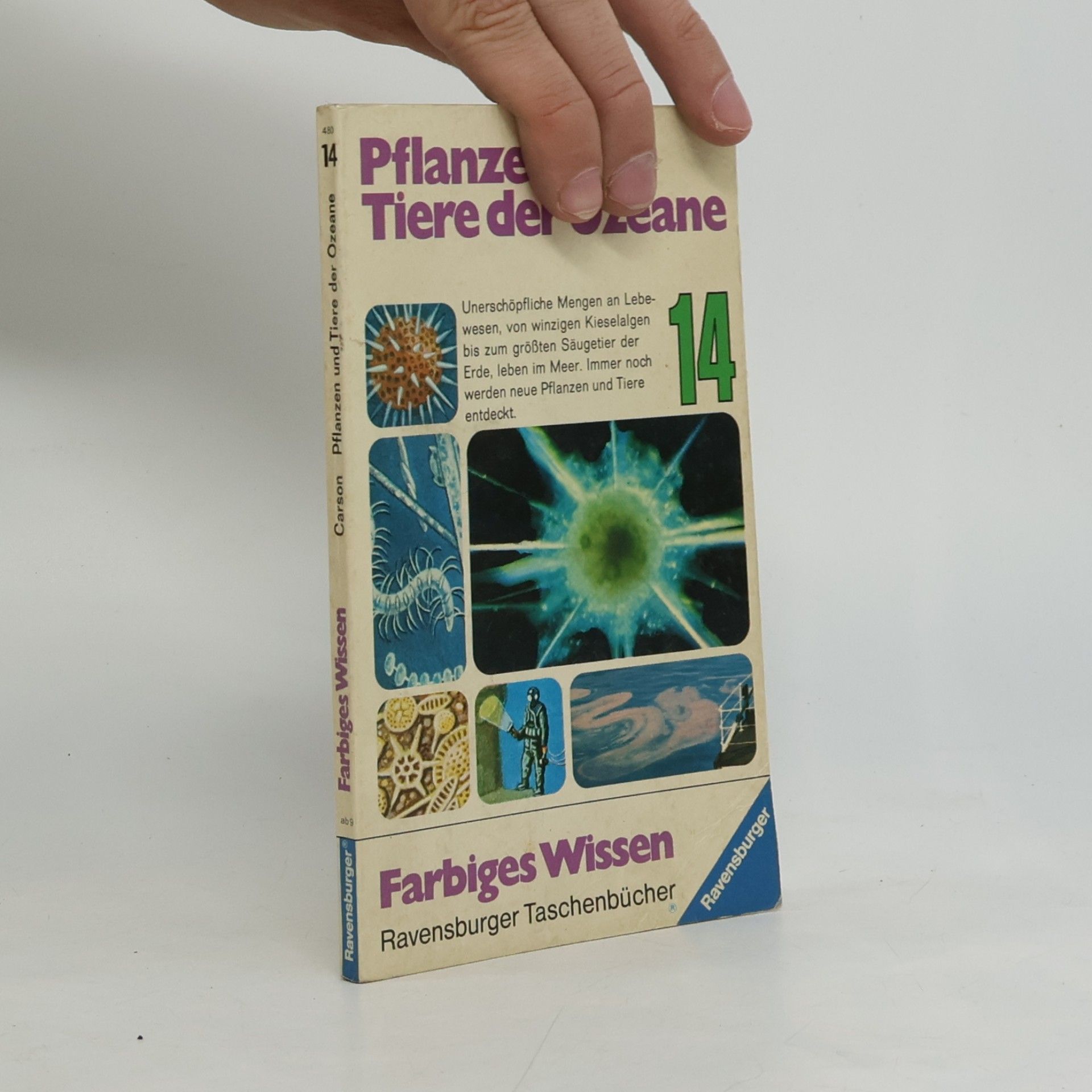 Rachel Carson Farbiges Wissen - 14: Pflanzen und Tiere der Ozeane