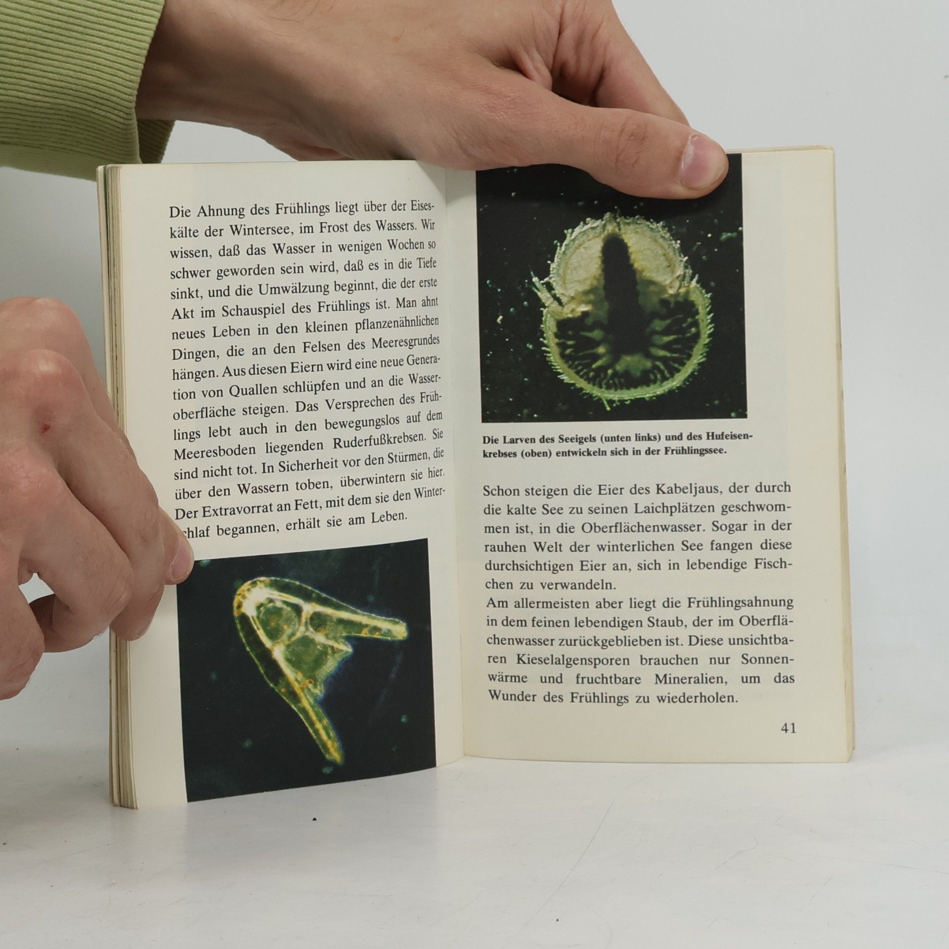 Rachel Carson Farbiges Wissen - 14: Pflanzen und Tiere der Ozeane