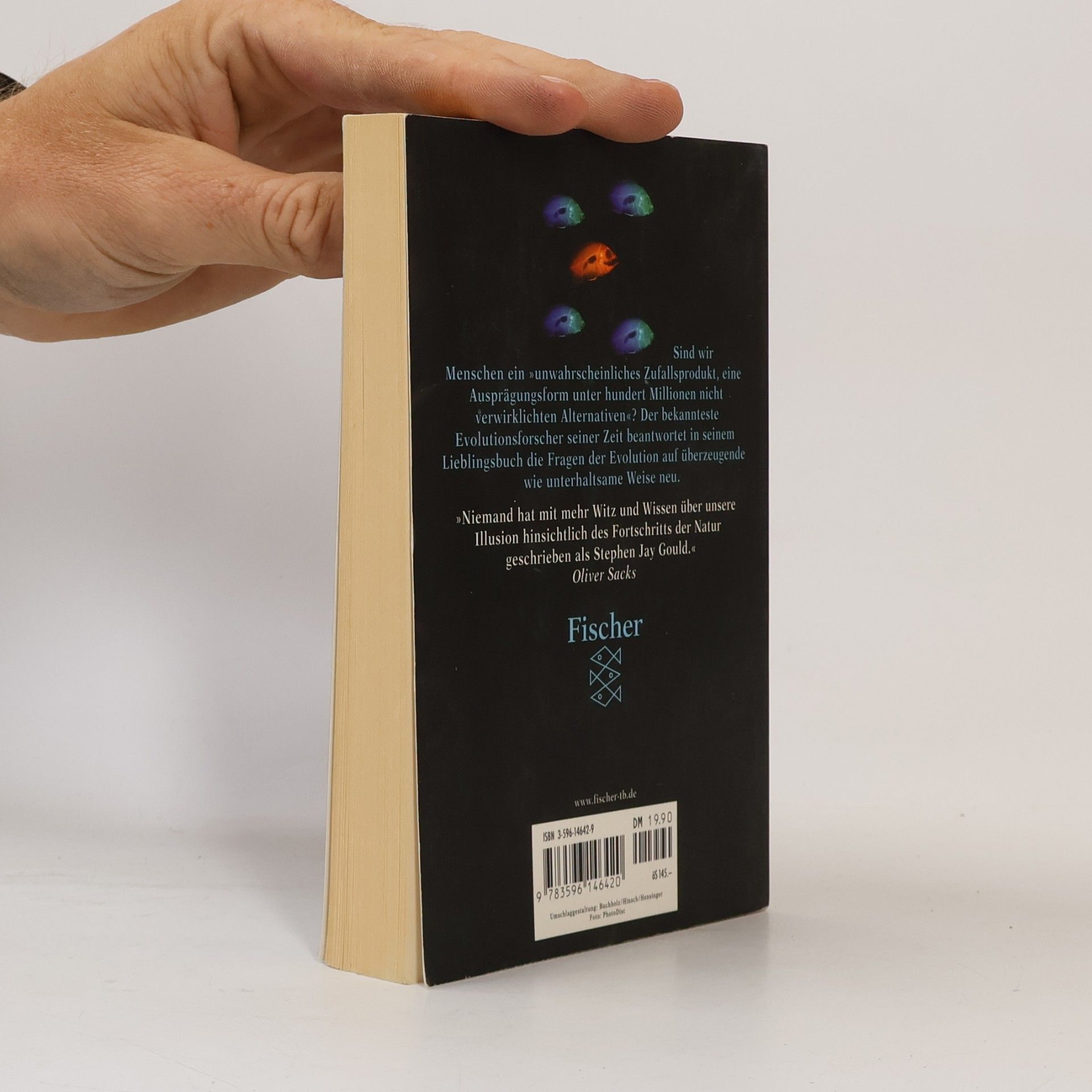 Stephen Jay Gould Illusion Fortschritt