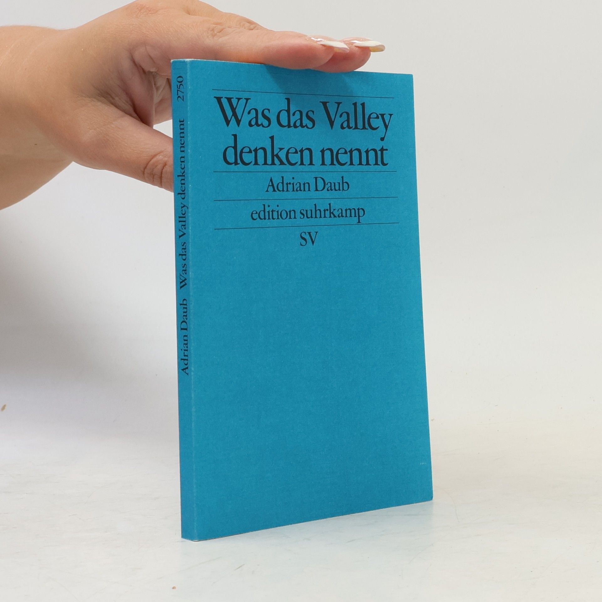 Adrian Daub Was das Valley Denken nennt