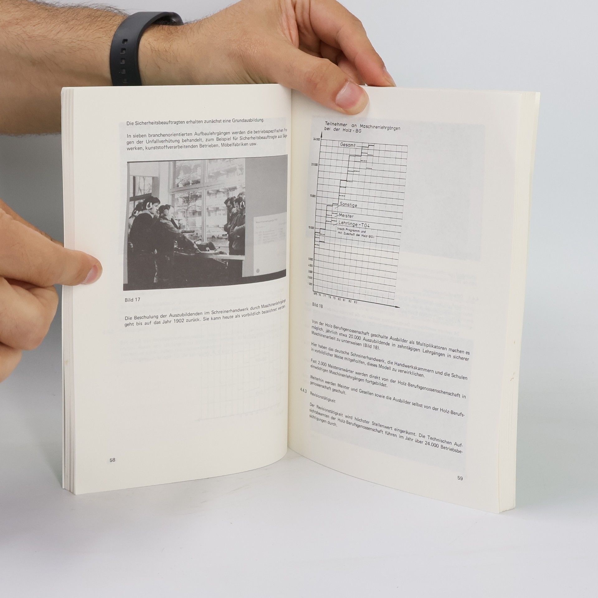 Schriftenreihe der Bundesanstalt für Arbeitsschutz - Tb 38: Humanisierung des Arbeitslebens in der Holzbe- und -verarbeitung
