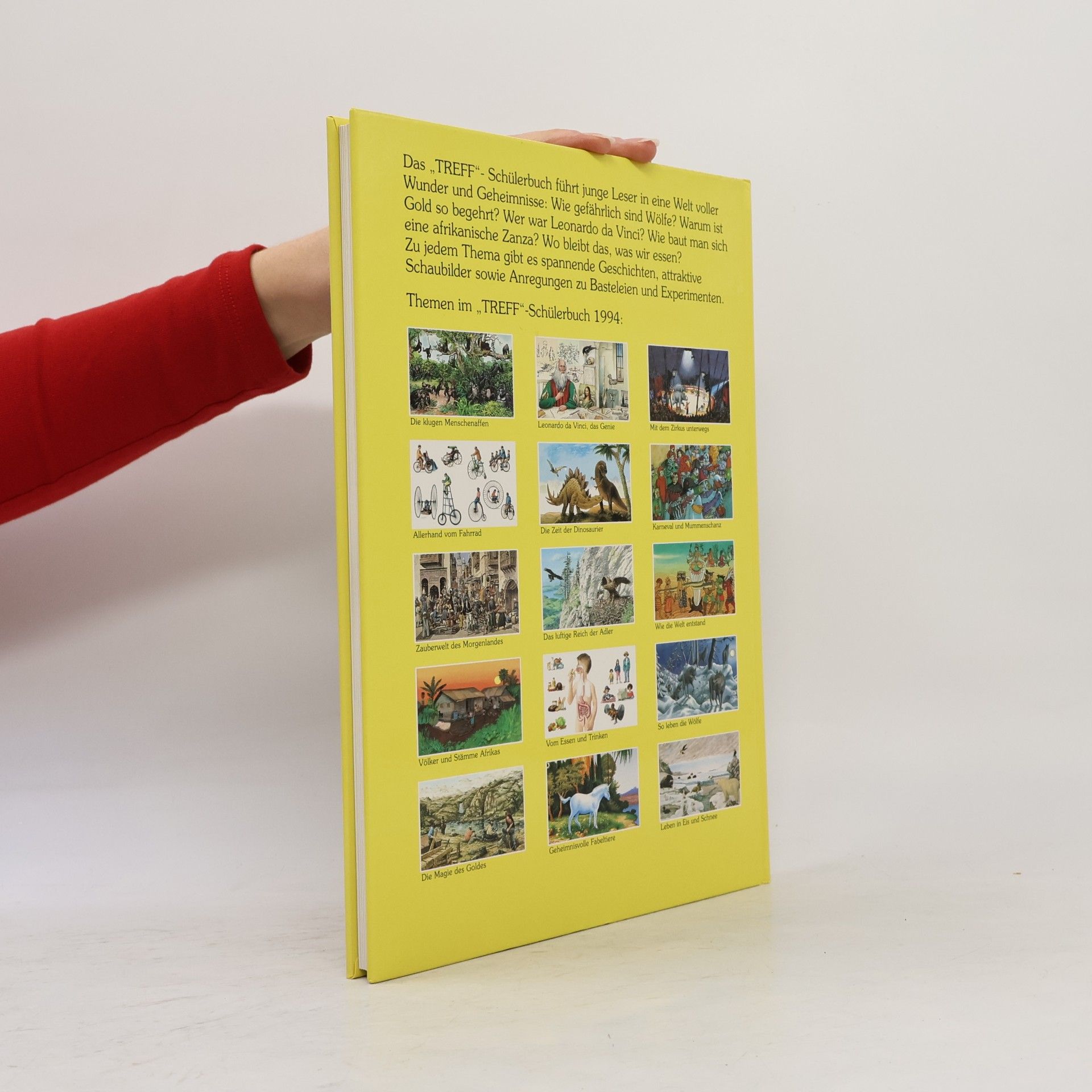 Kolektiv autorů TREFF Schülerbuch 1994