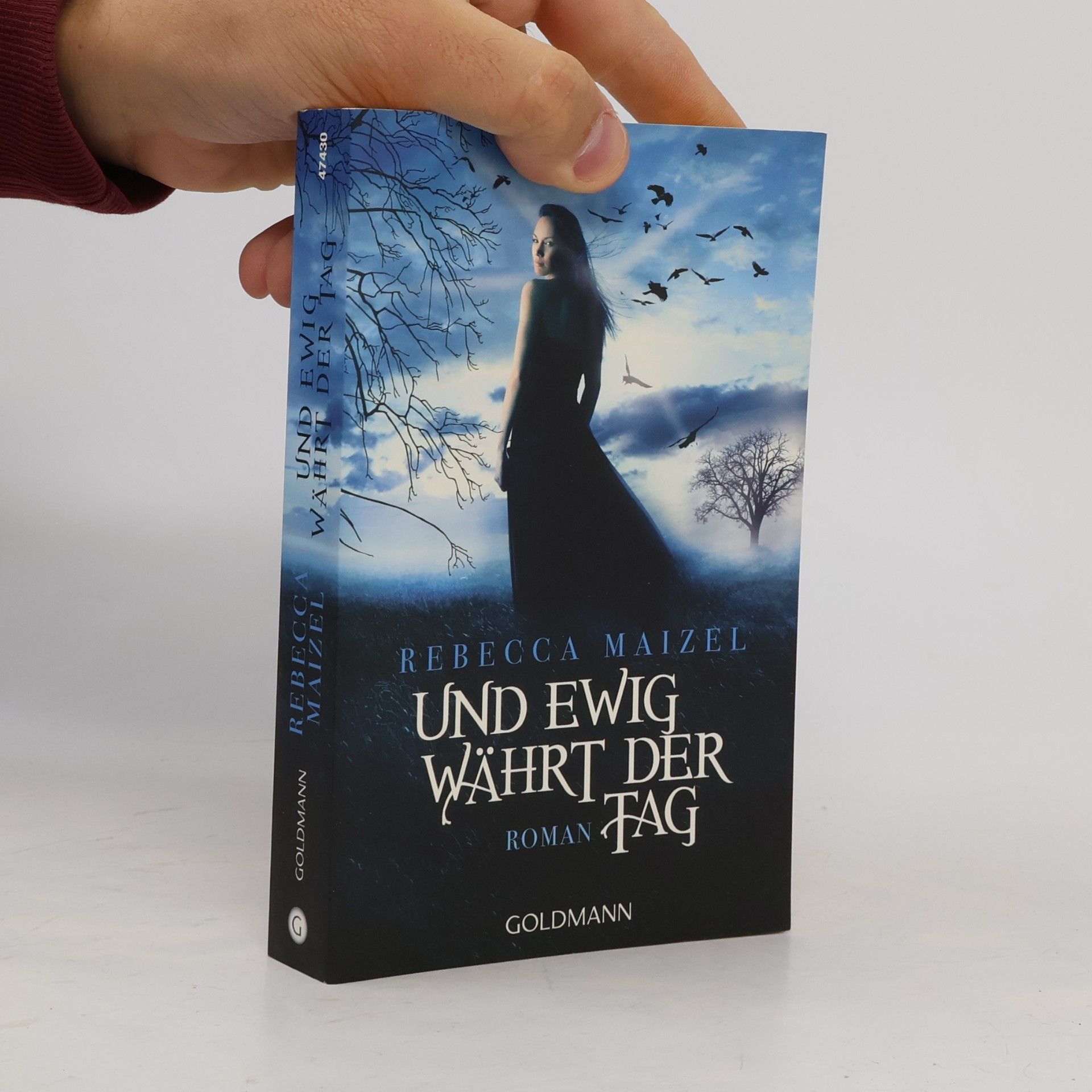 Rebecca Maizel Und ewig währt der Tag