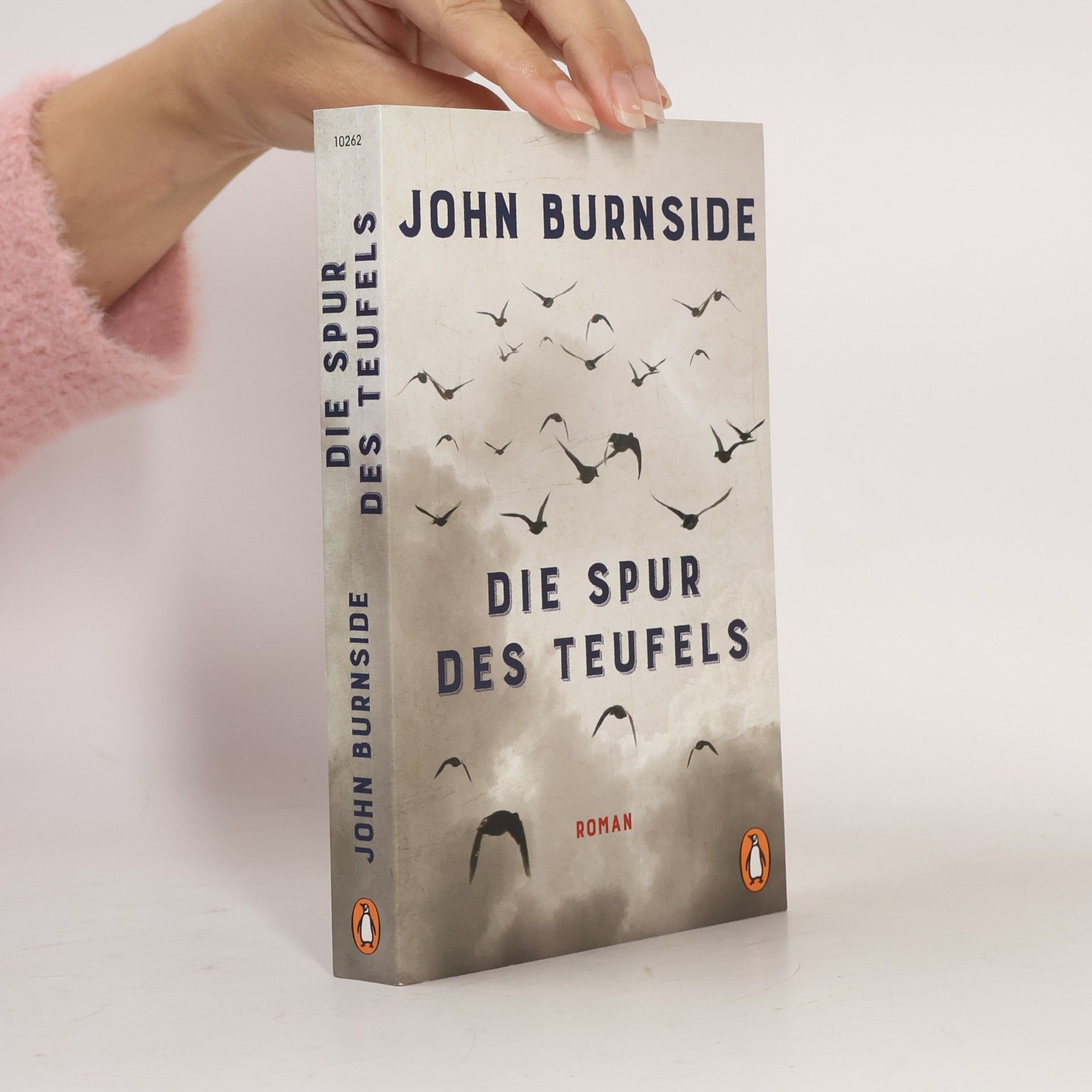 John Burnside Die Spur des Teufels