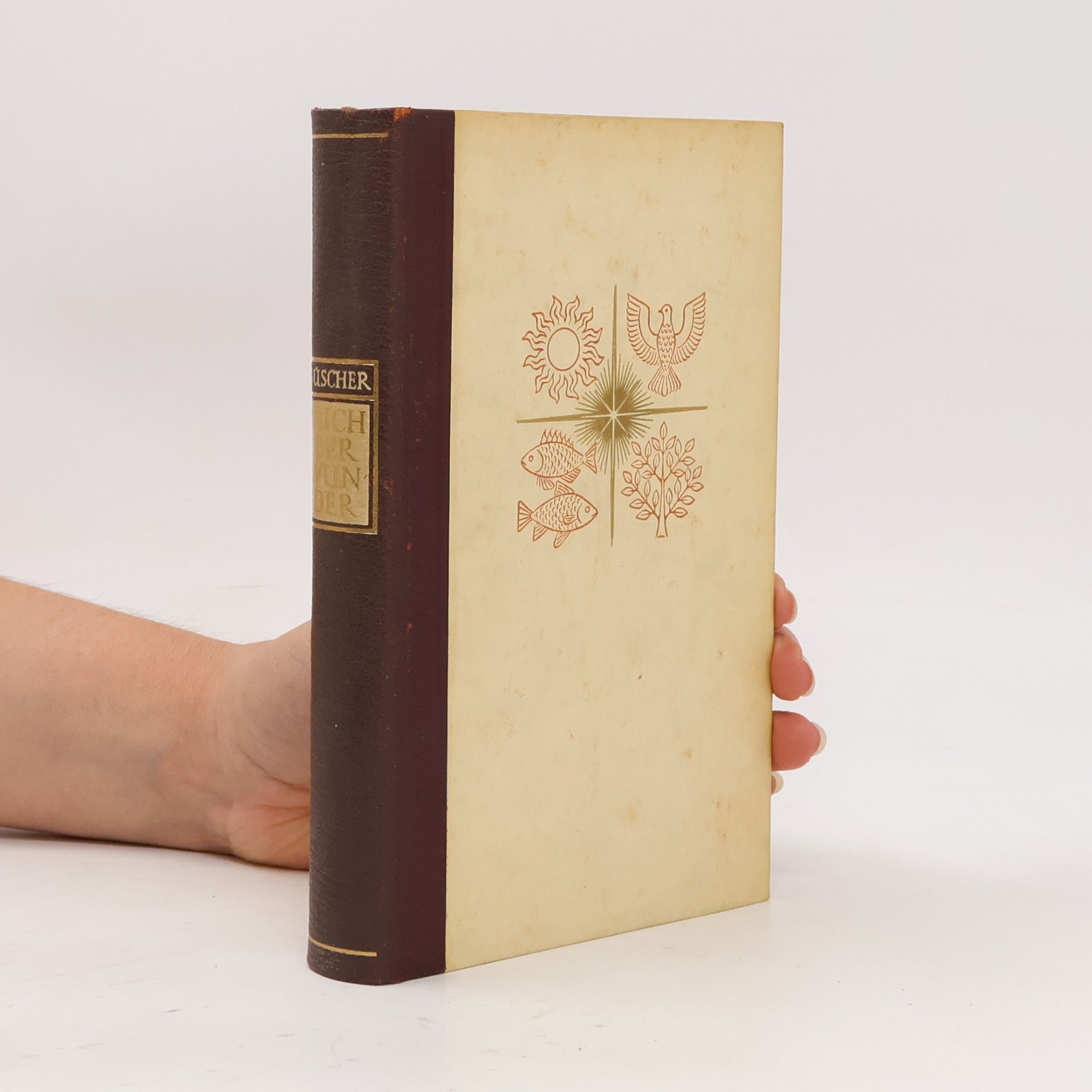 Gustav Büscher Buch der Wunder