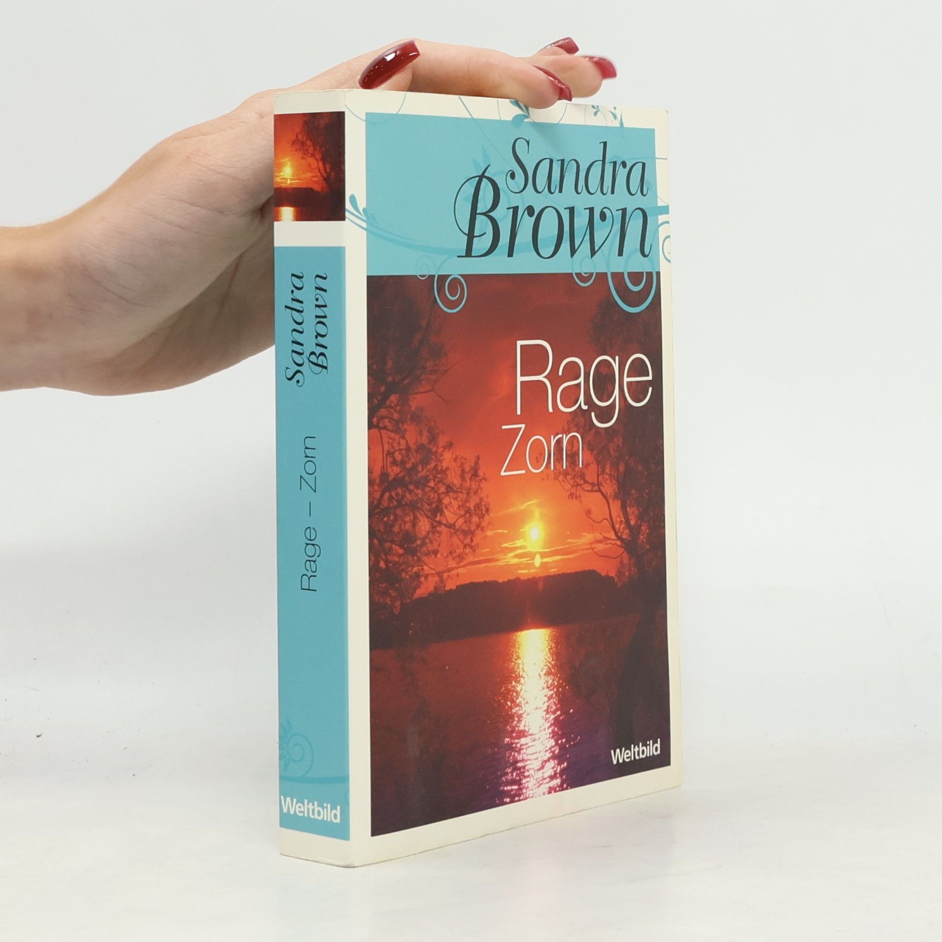 Sandra Brown Rage Zorn