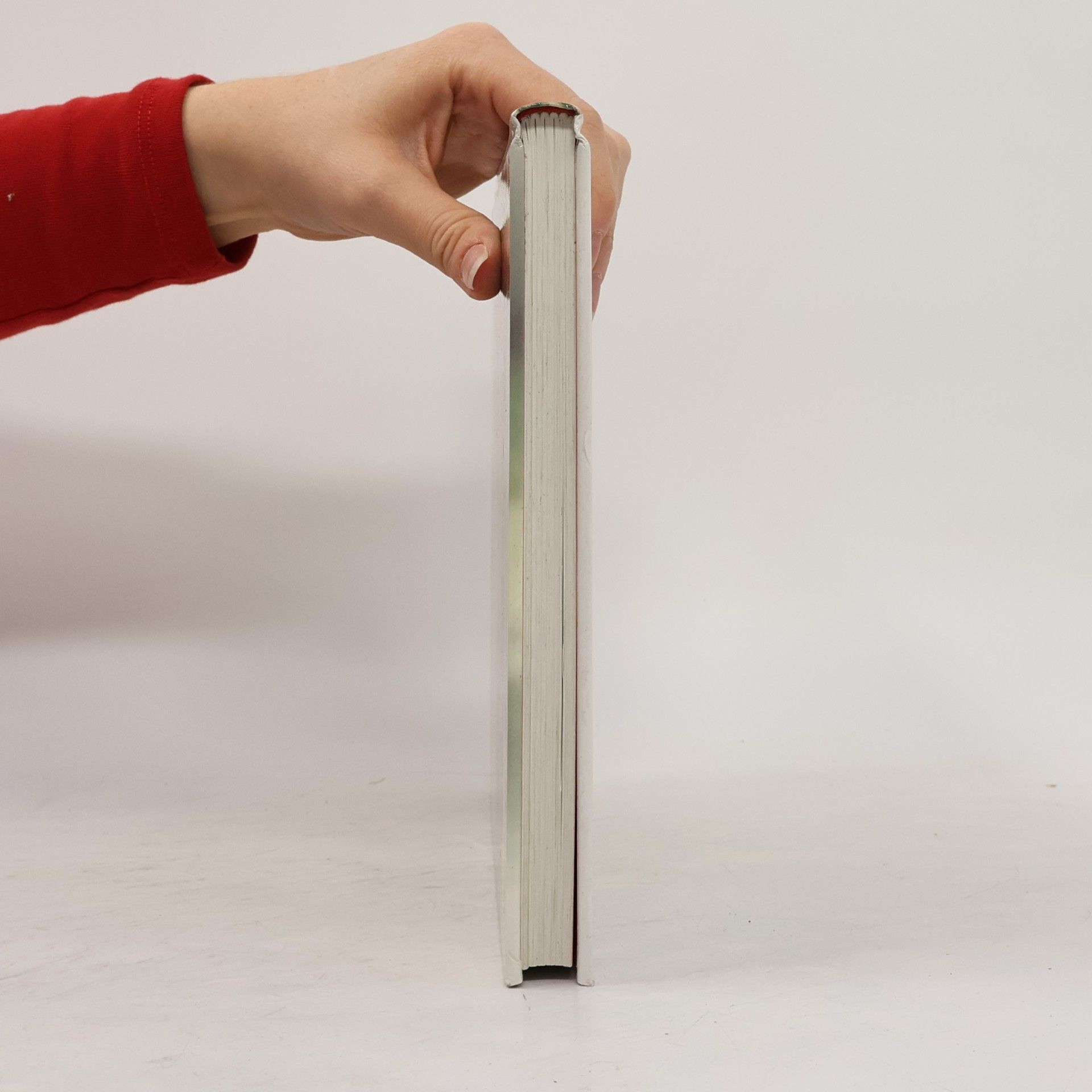 Cornelia Nitsch Das grosse Buch der Spiele und Basteleien