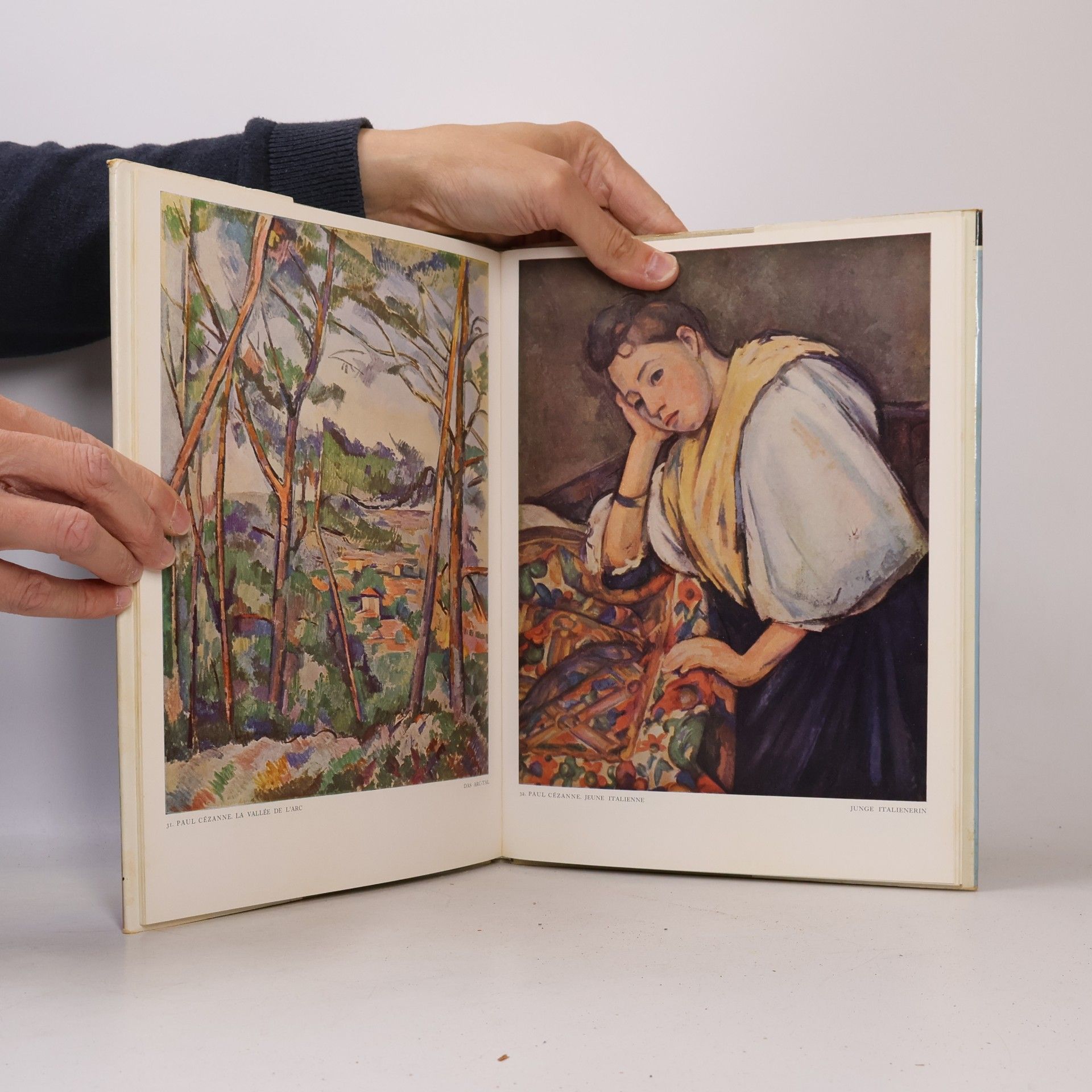 Auteurscollectief Französische Impressionisten in Farben