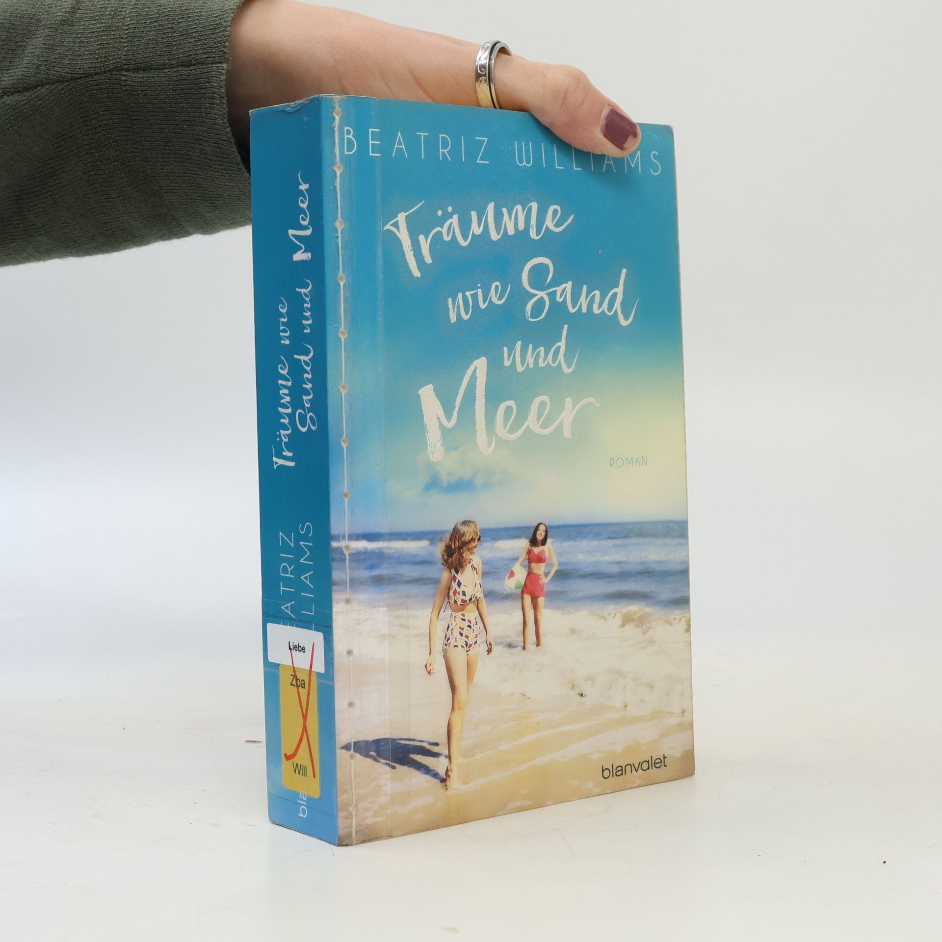 Beatriz Williams Träume wie Sand und Meer