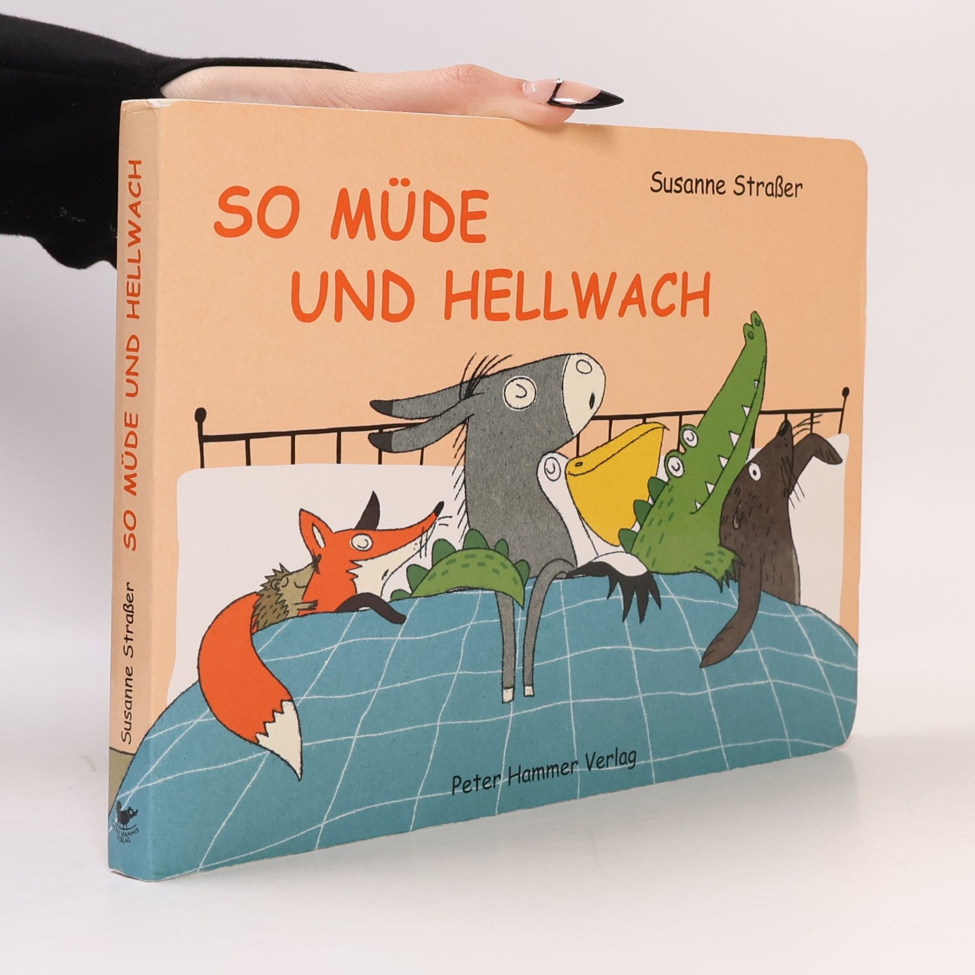 Susanne Straßer So müde und hellwach