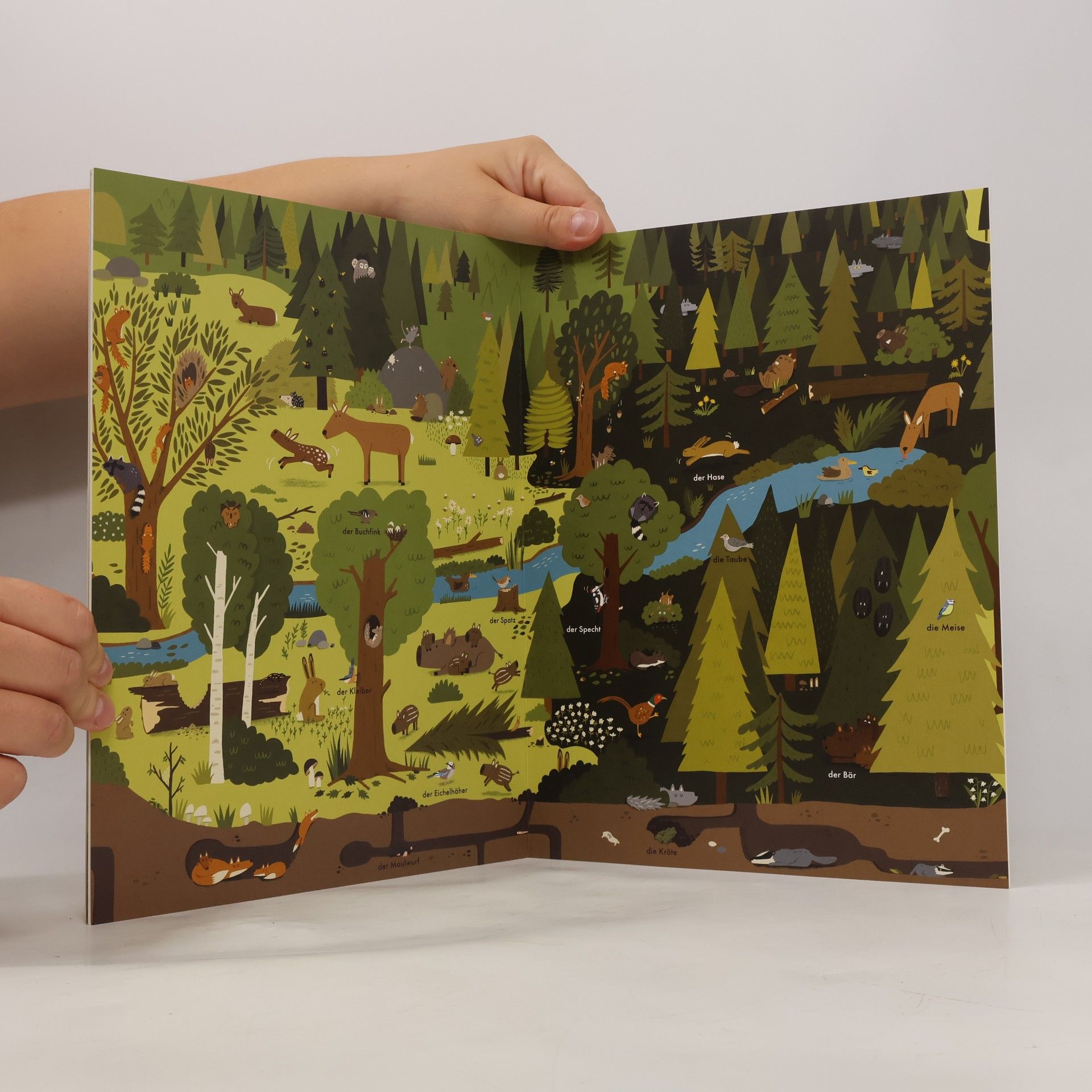 Katrin Wiehle Der Wald bei Tag und Nacht