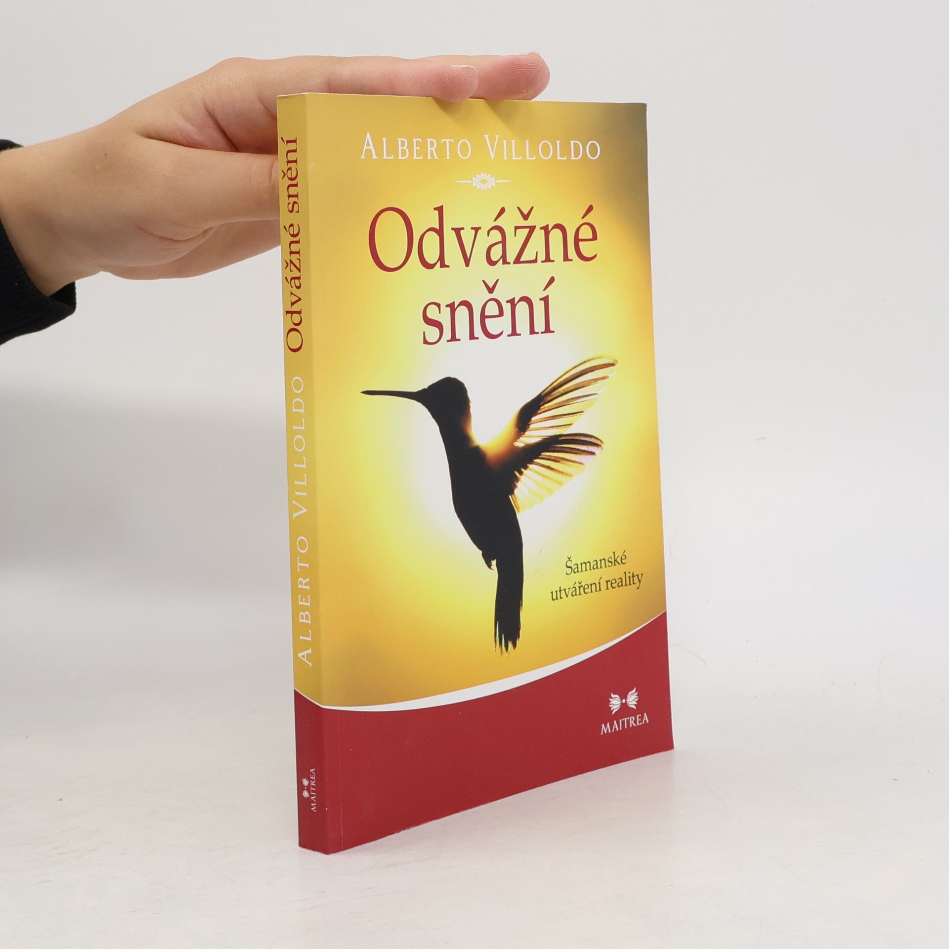 Andrea Hässelbarthová Odvážné snění : šamanské utváření reality