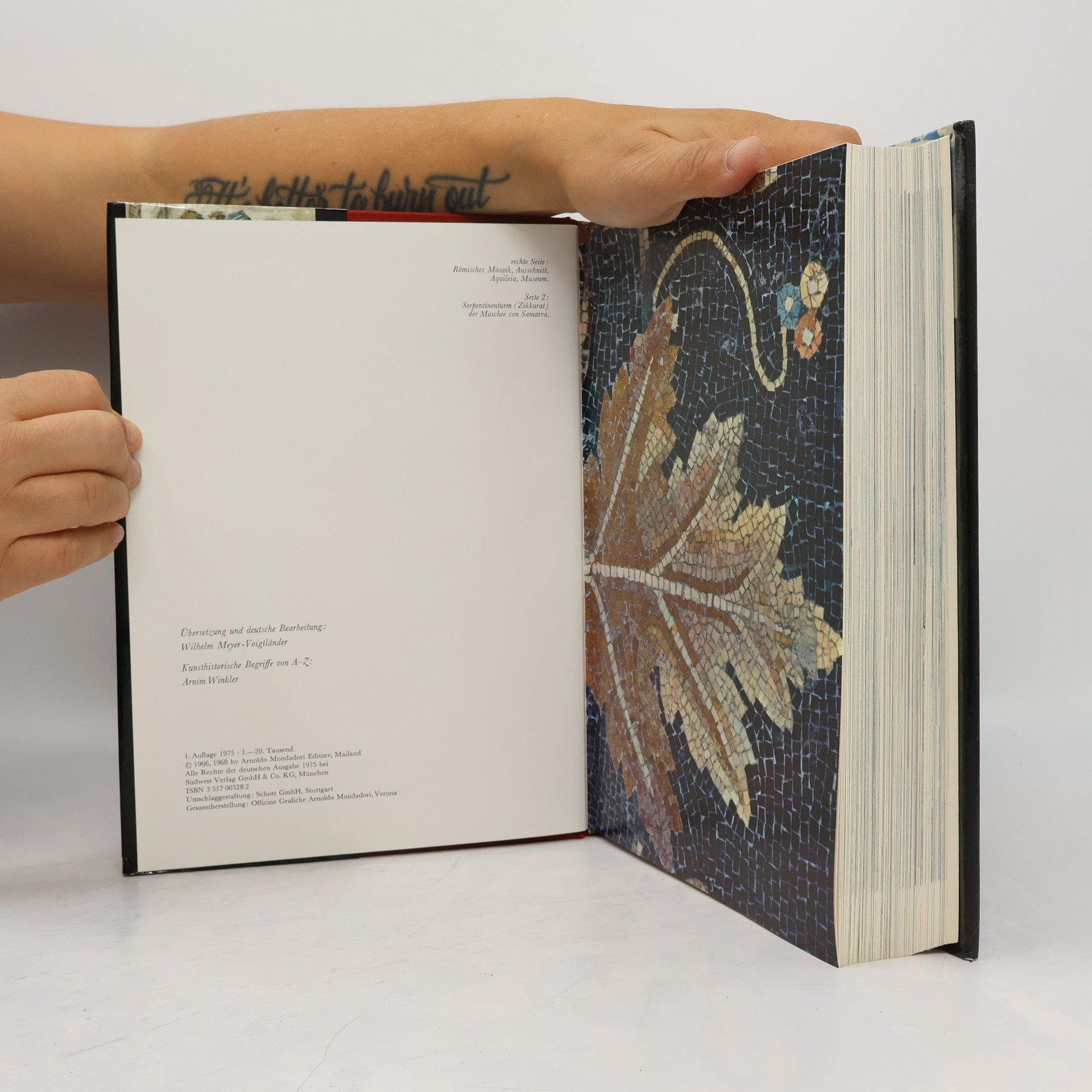 Gina Pischei Große Kunstgeschichte der Welt. Malerei, Plastik, Architektur, Kunsthandwerk