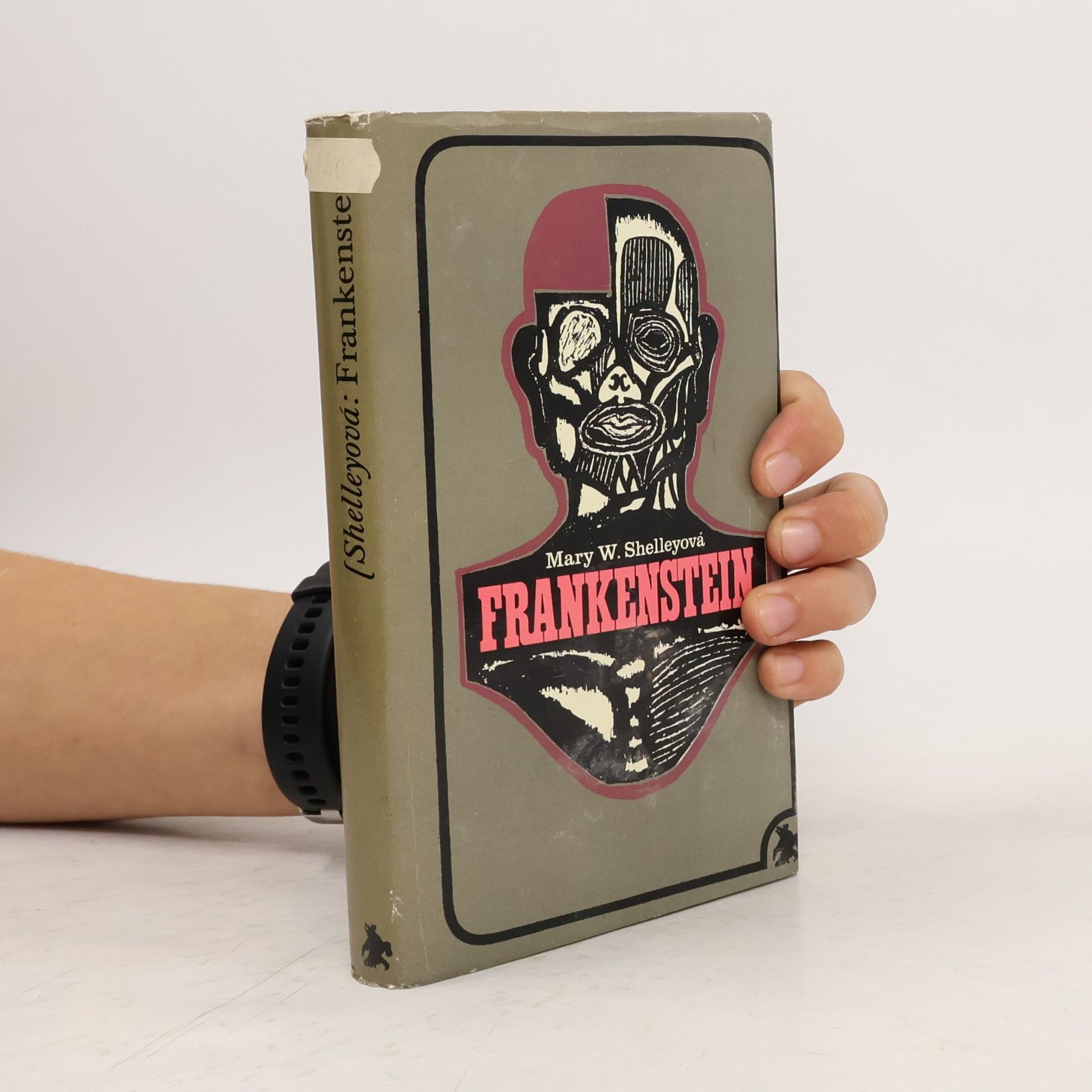 Mary Shelley Frankenstein
