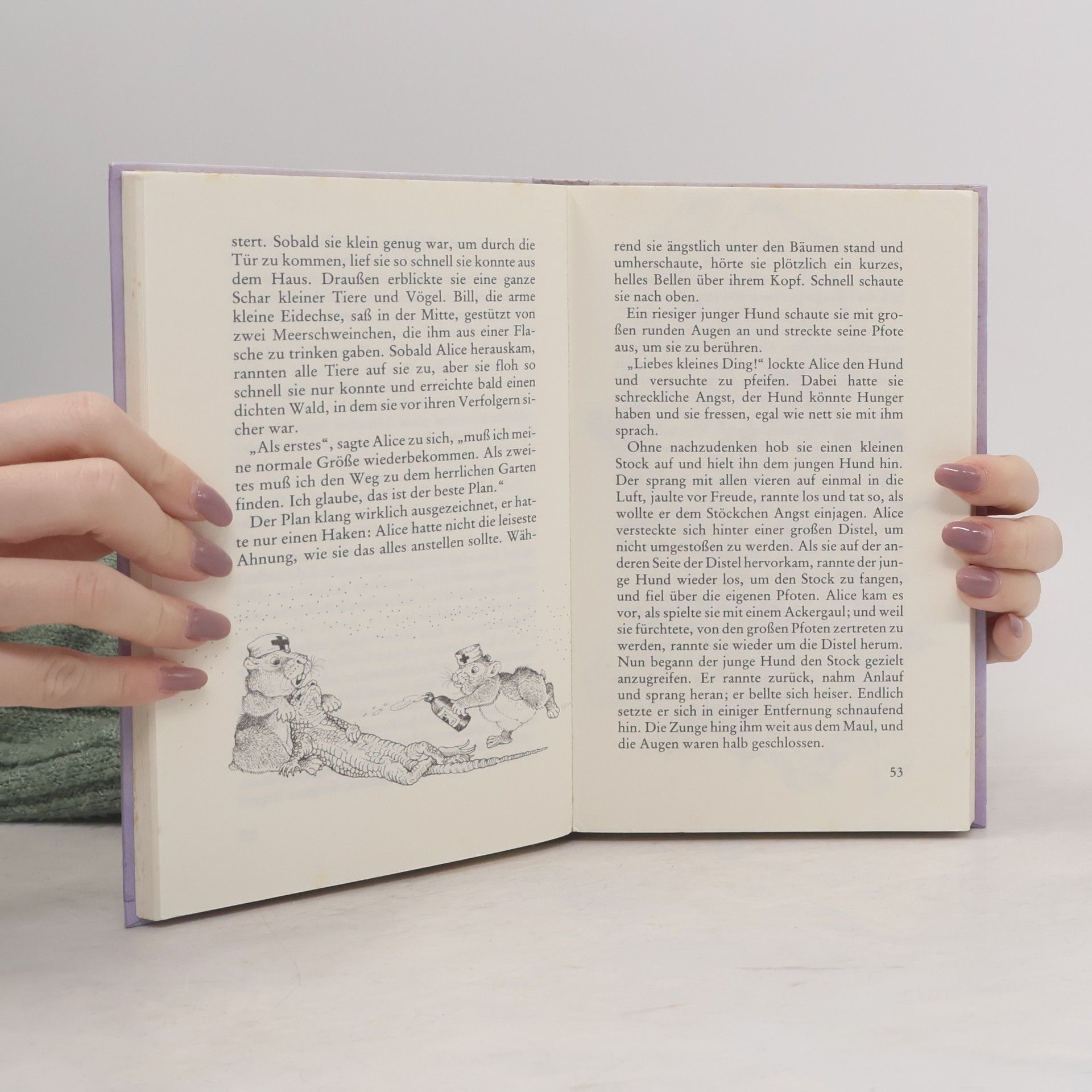 Lewis Carroll Alice im Wunderland