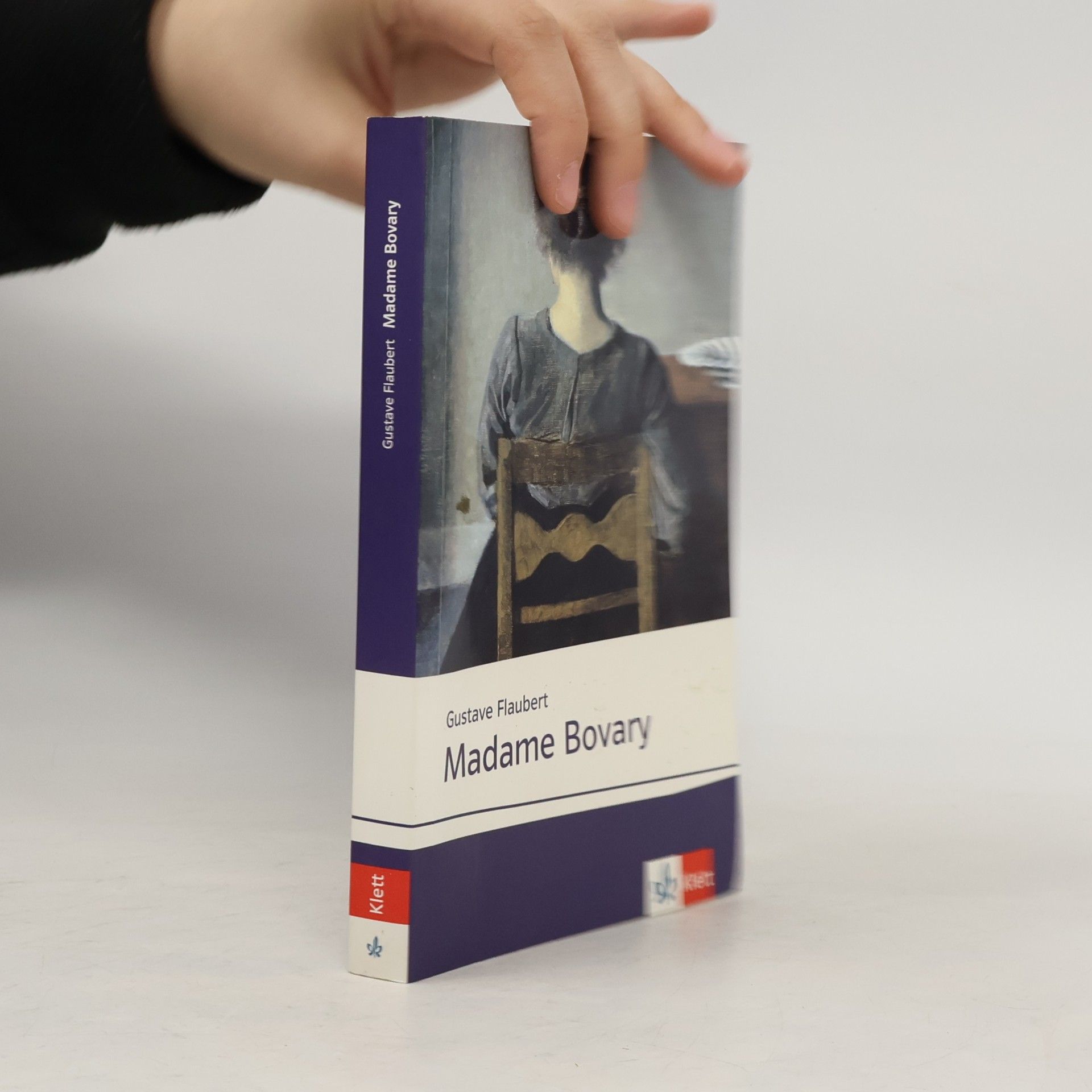 Gustave Flaubert Madame Bovary
