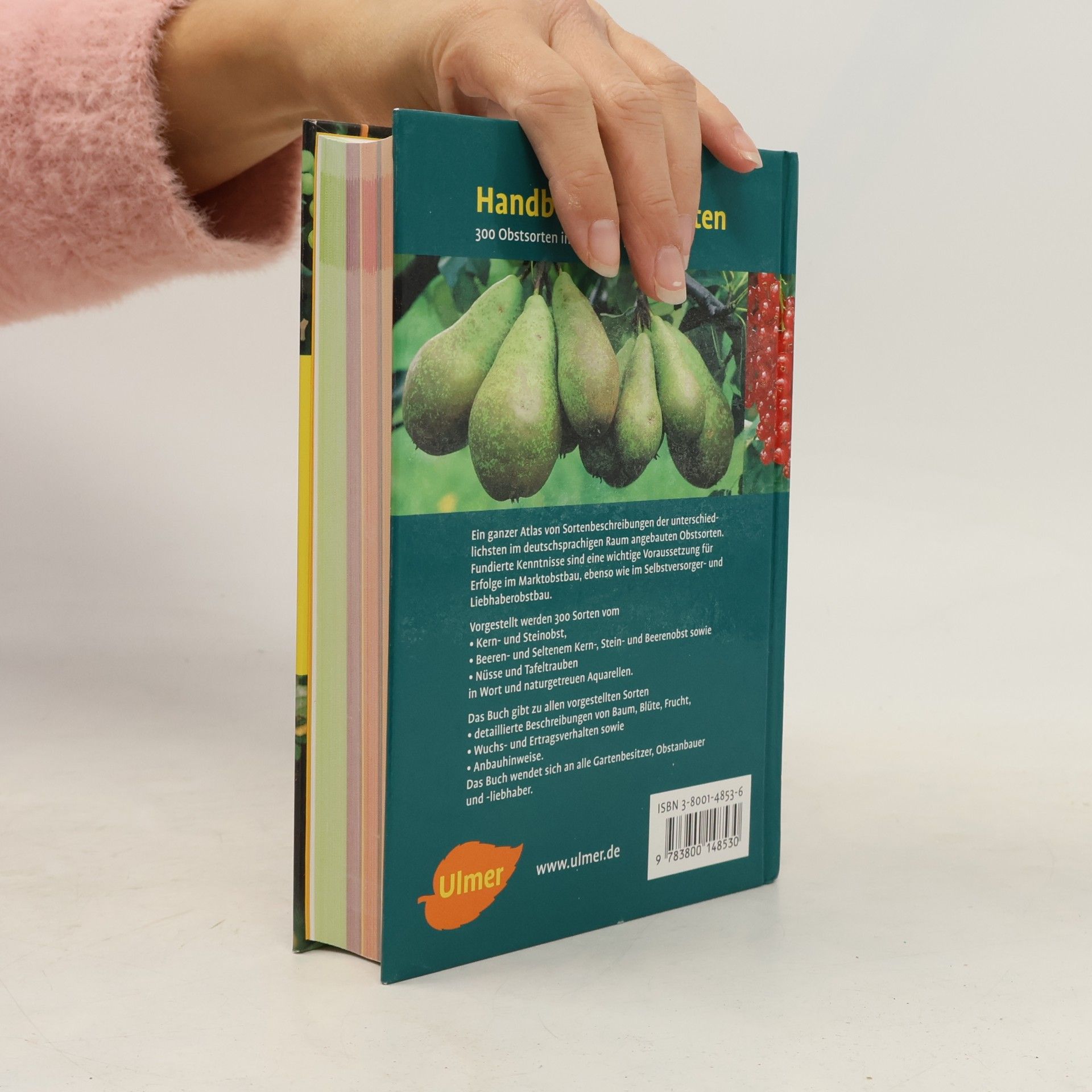 Gerhard Friedrich Handbuch Obstsorten