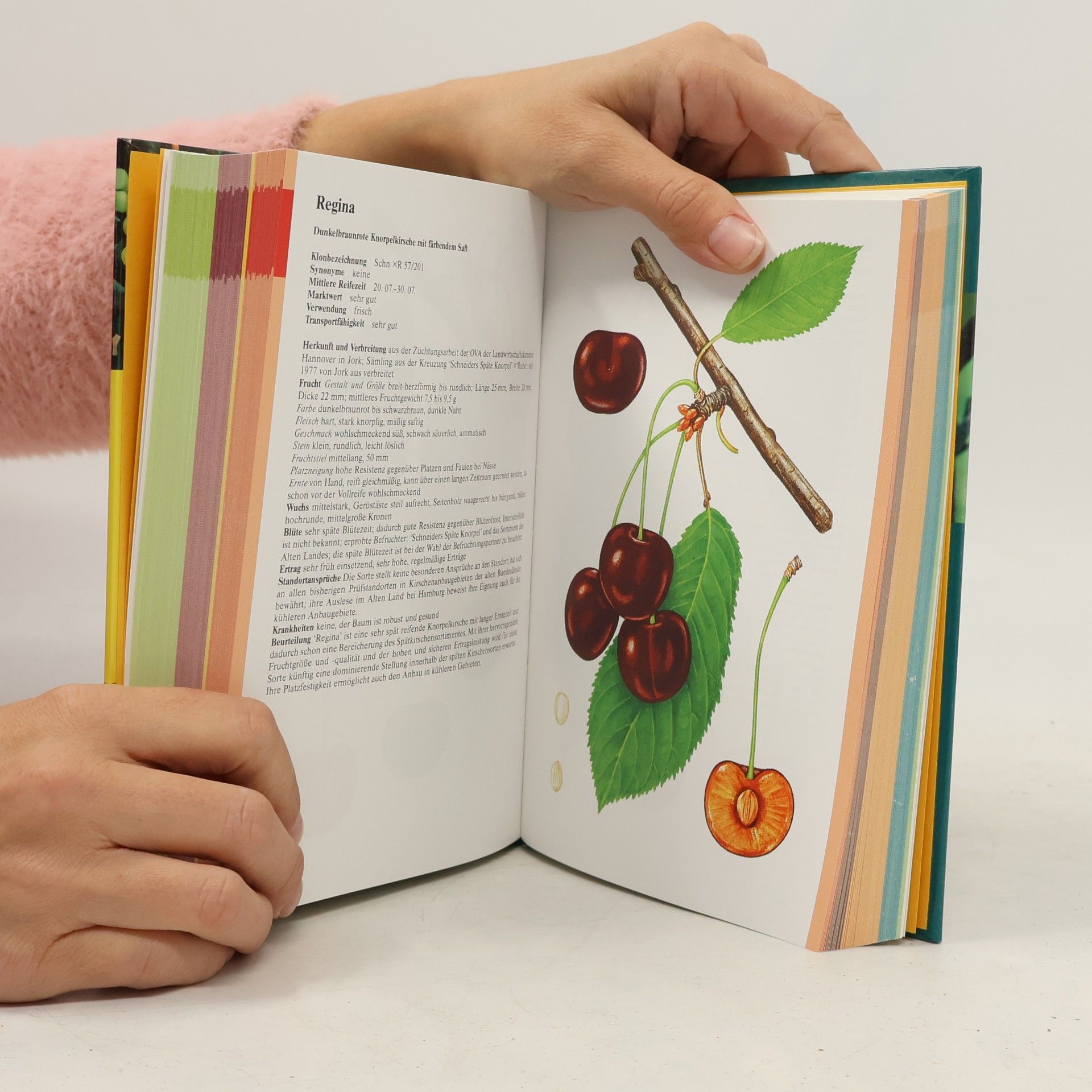 Gerhard Friedrich Handbuch Obstsorten