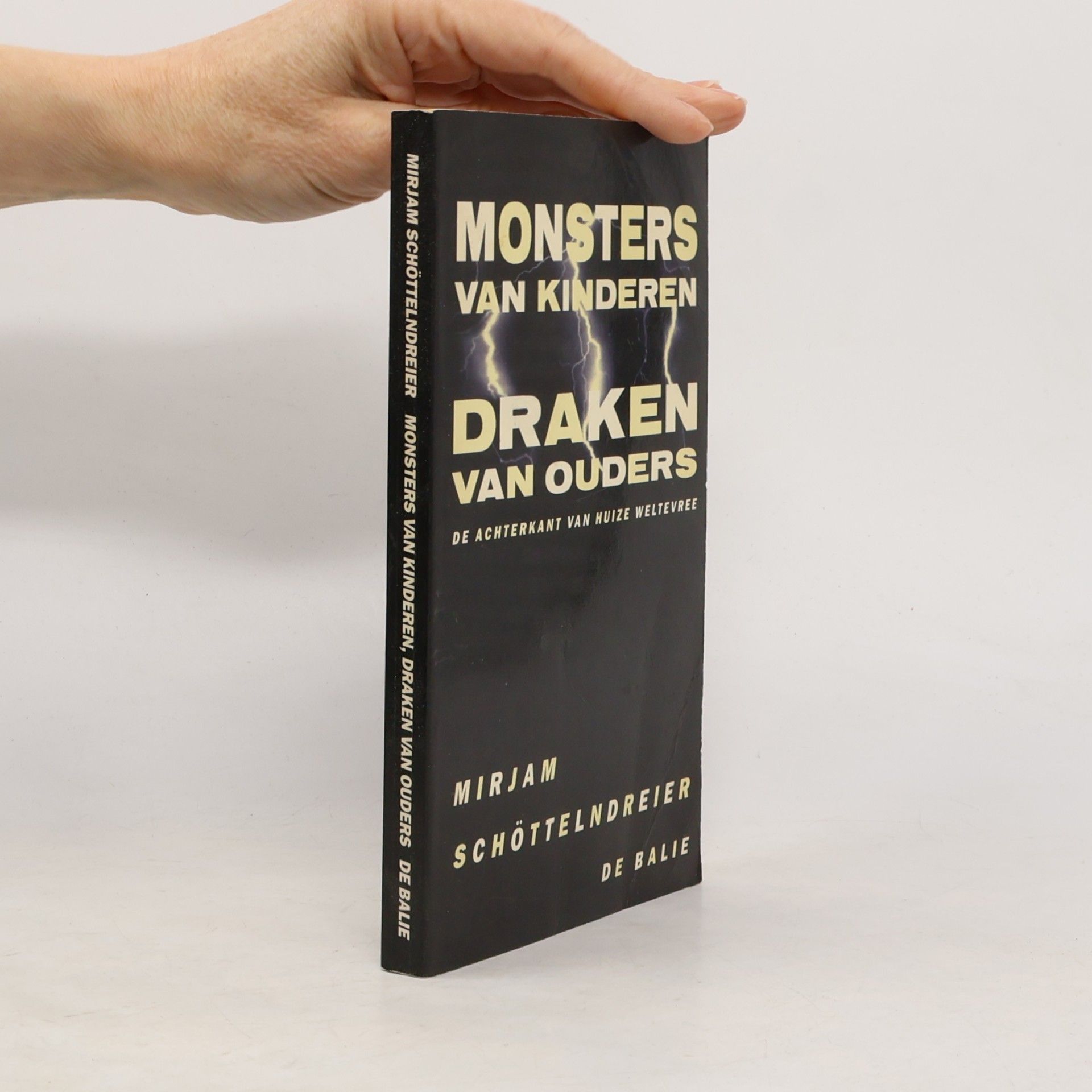 Mirjam Schöttelndreier Monsters van kinderen, draken van ouders