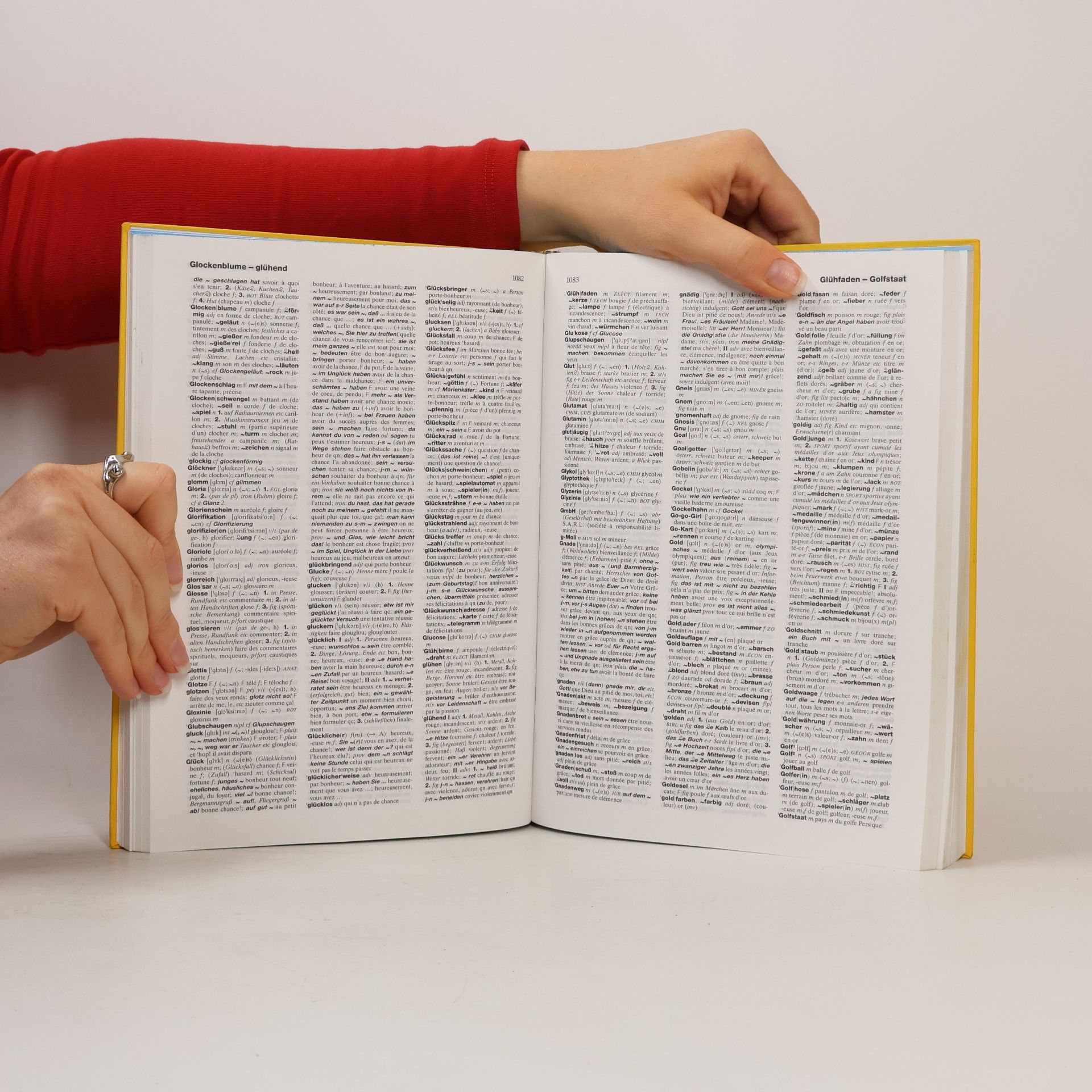 Barbara Epple Langenscheidts Handwörterbuch Französisch