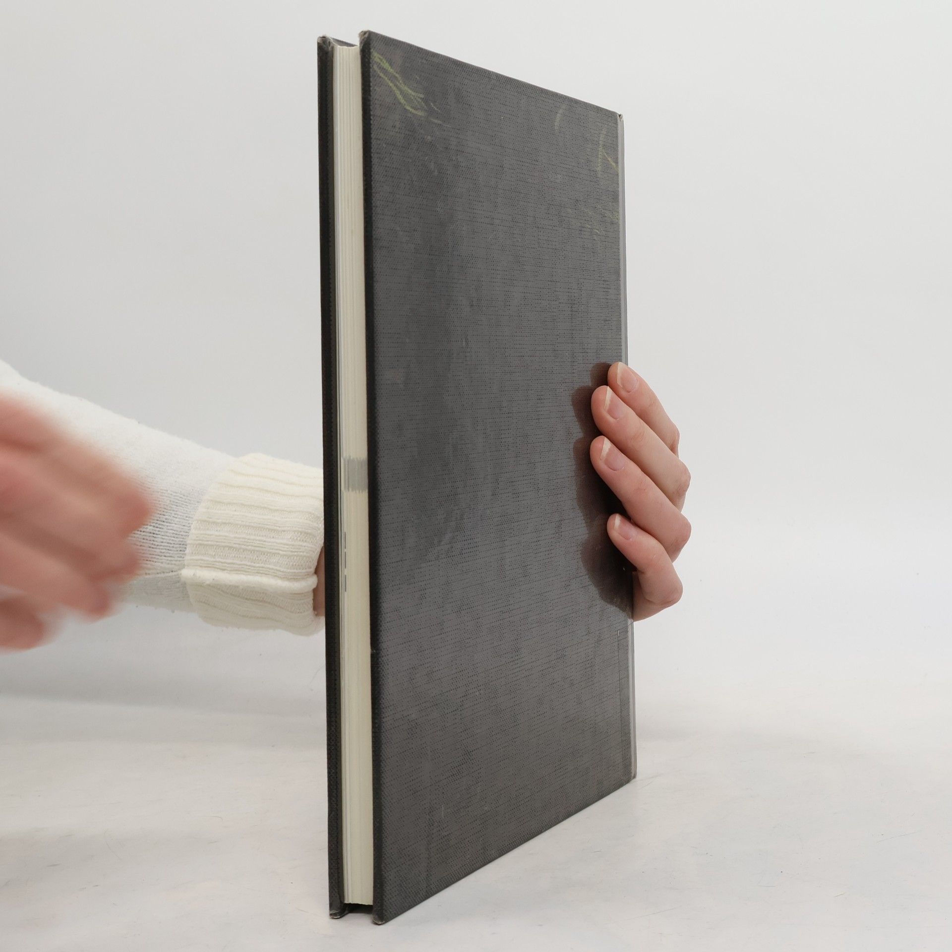John Hedgecoe Das komplette Foto-Handbuch für Einsteiger