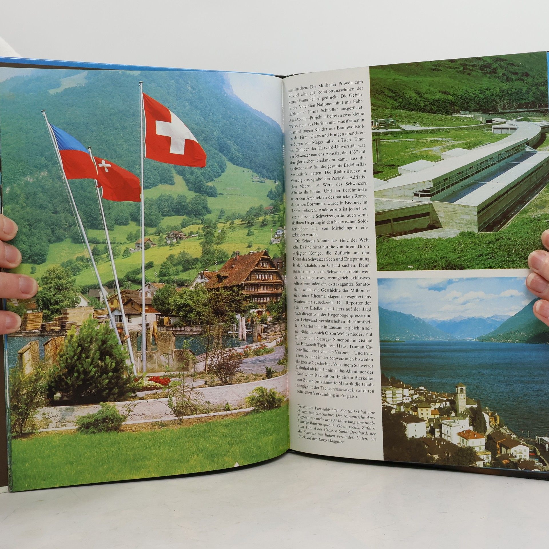 David Gibbon Schweiz
