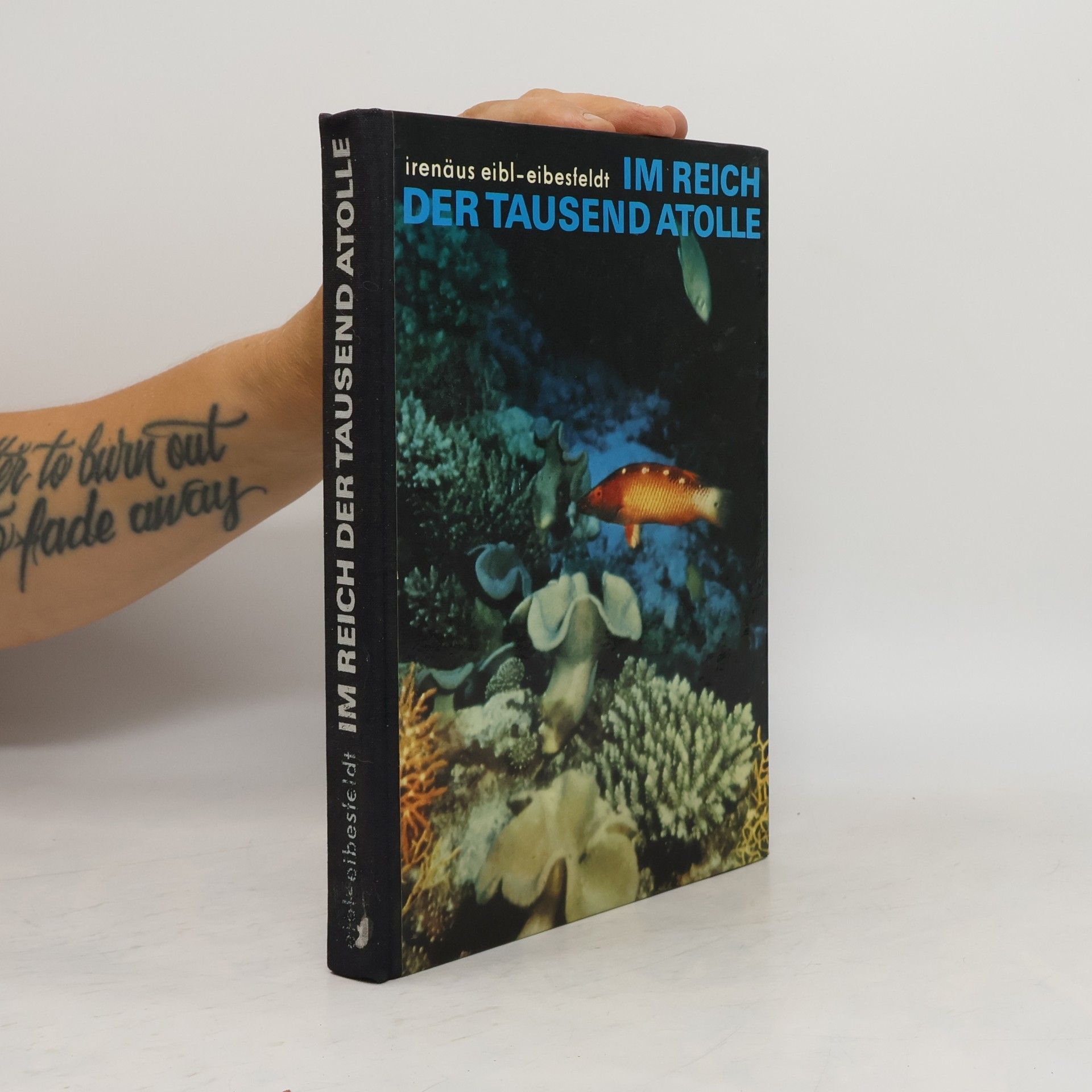 Im Reich der tausend Atolle